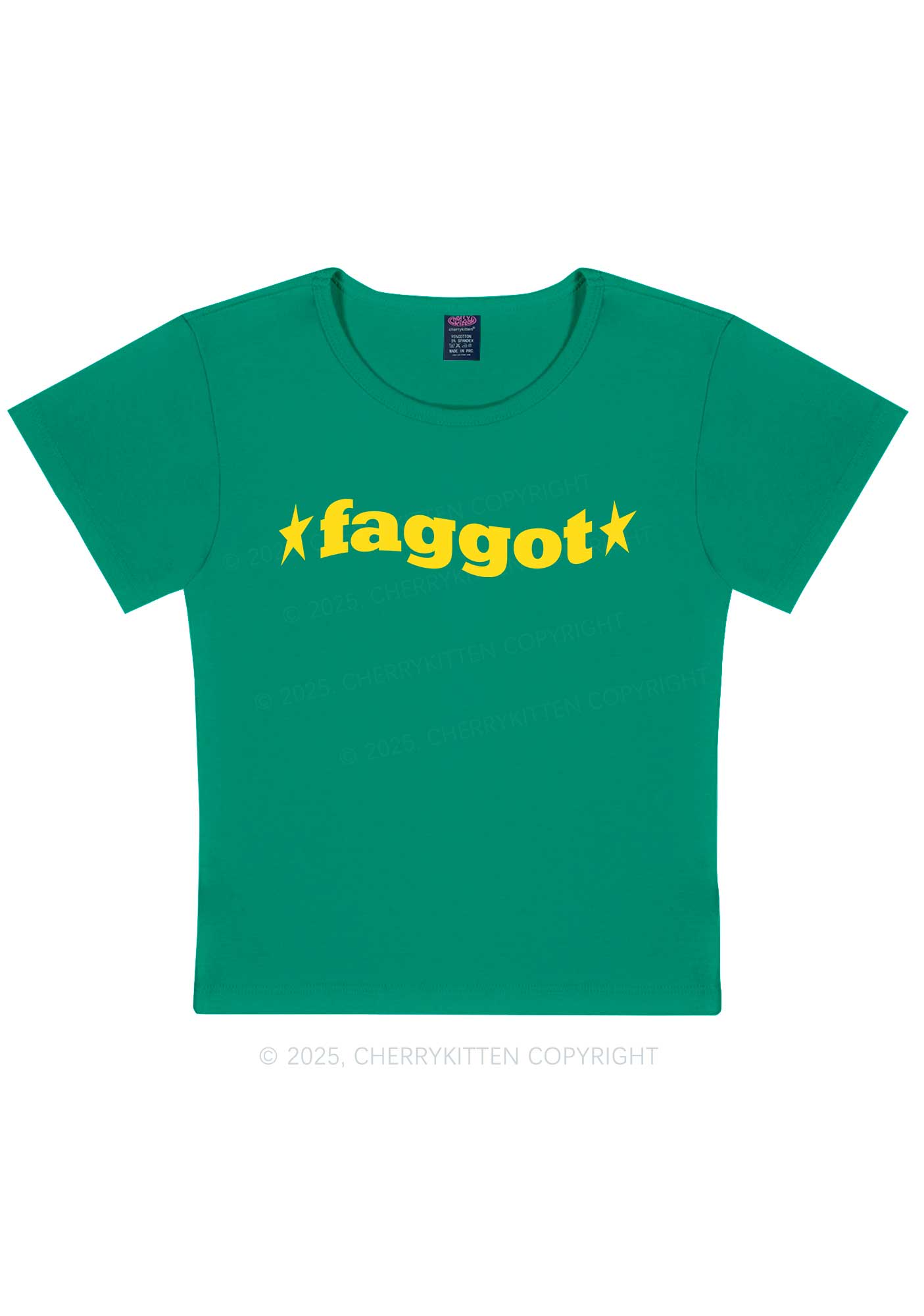 Red Faggot Pride Y2K Baby Tee Cherrykitten