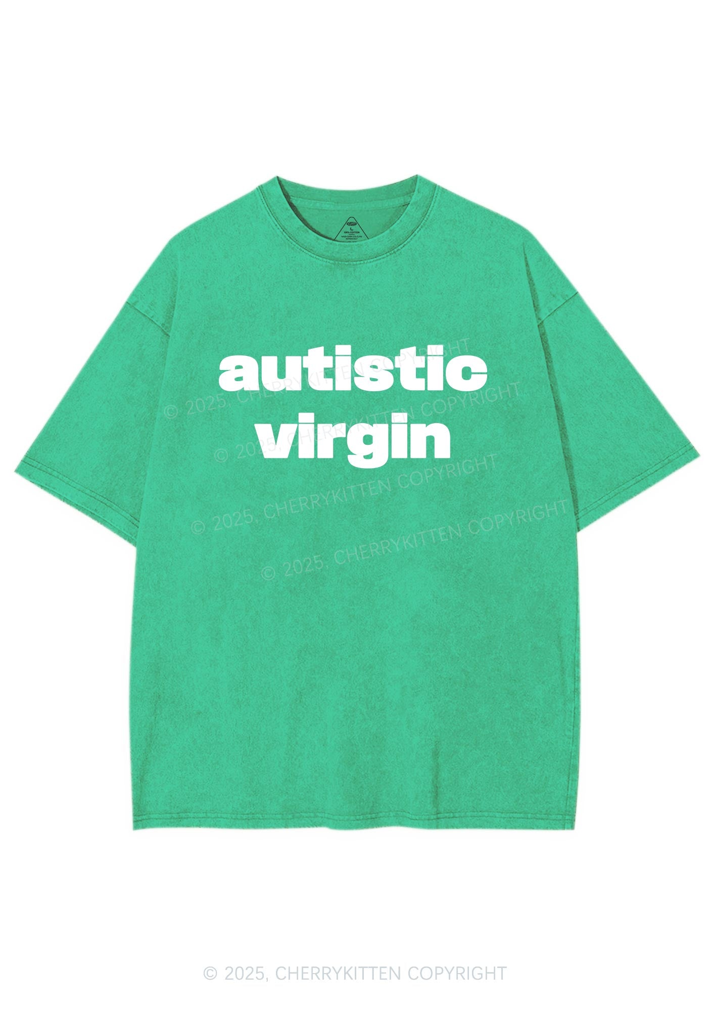 Autistic Virgin Y2K Shirts Washed Tee Cherrykitten