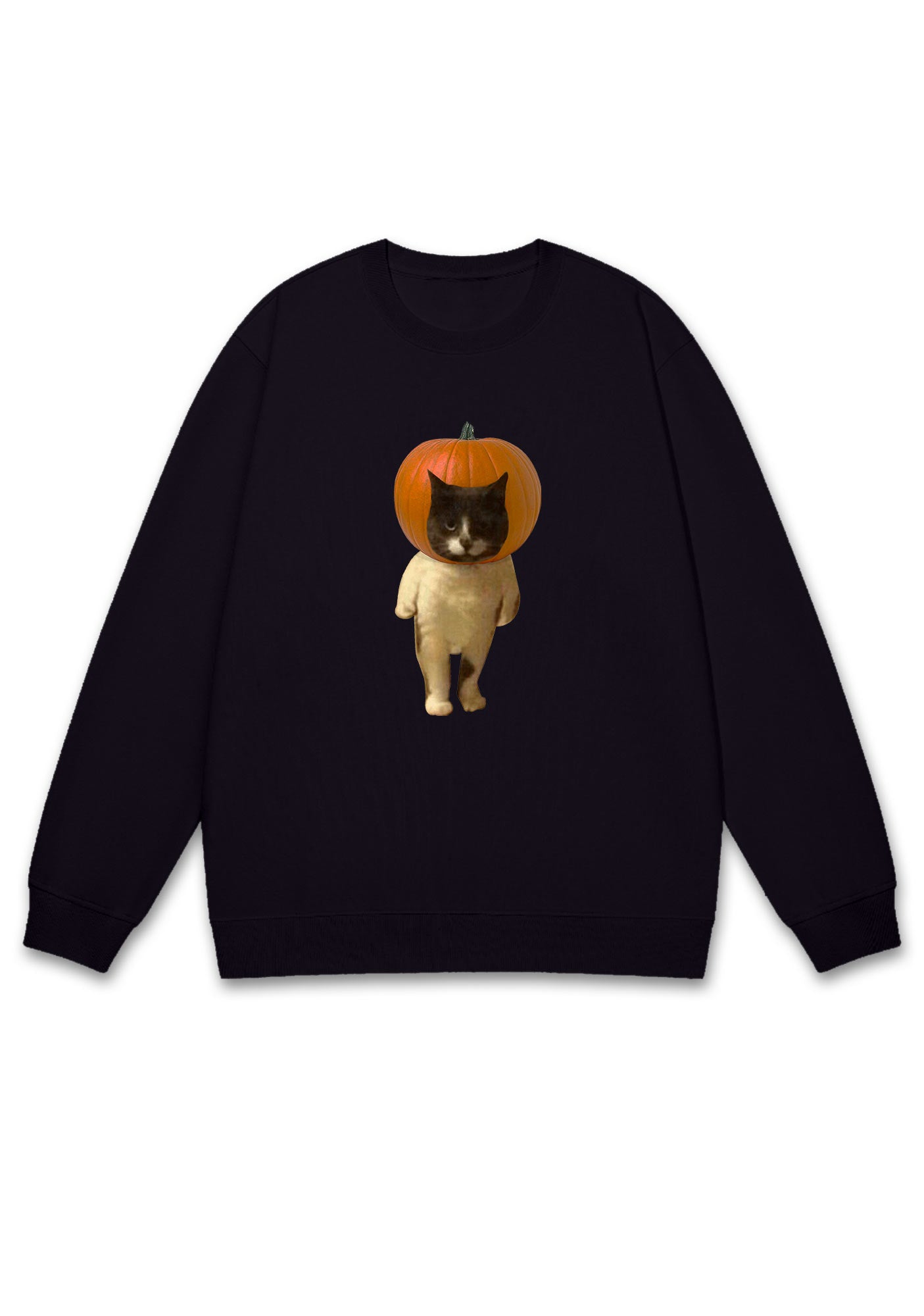 Pumpkin Head Cat Halloween Y2K Sweatshirt Cherrykitten