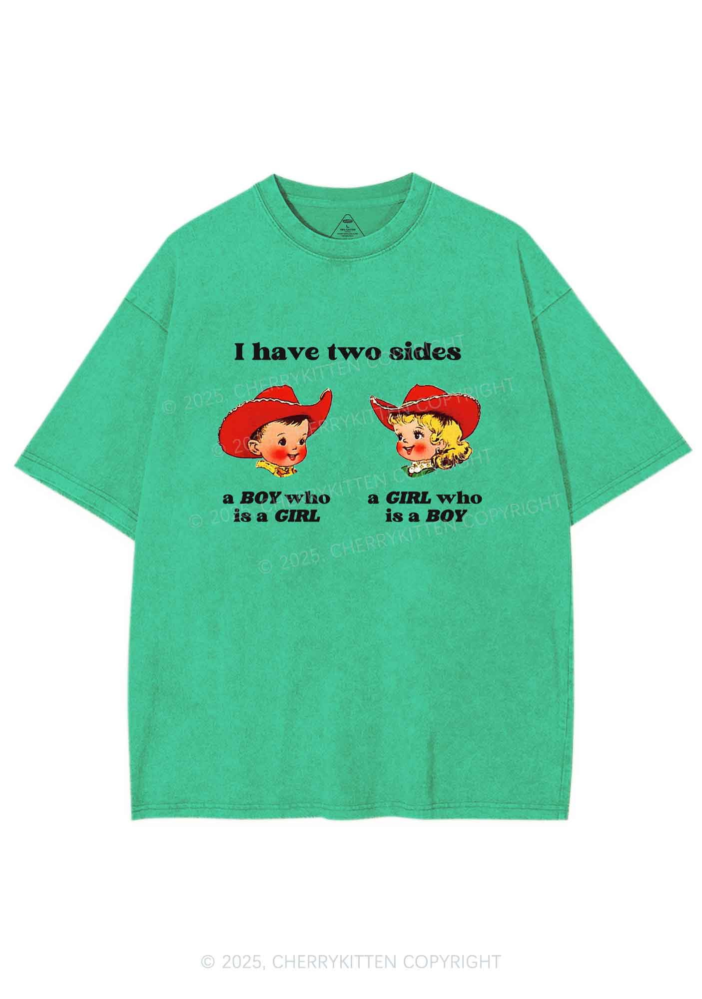 I Have Two Sides Pride Y2K Shirts Washed Tee Cherrykitten