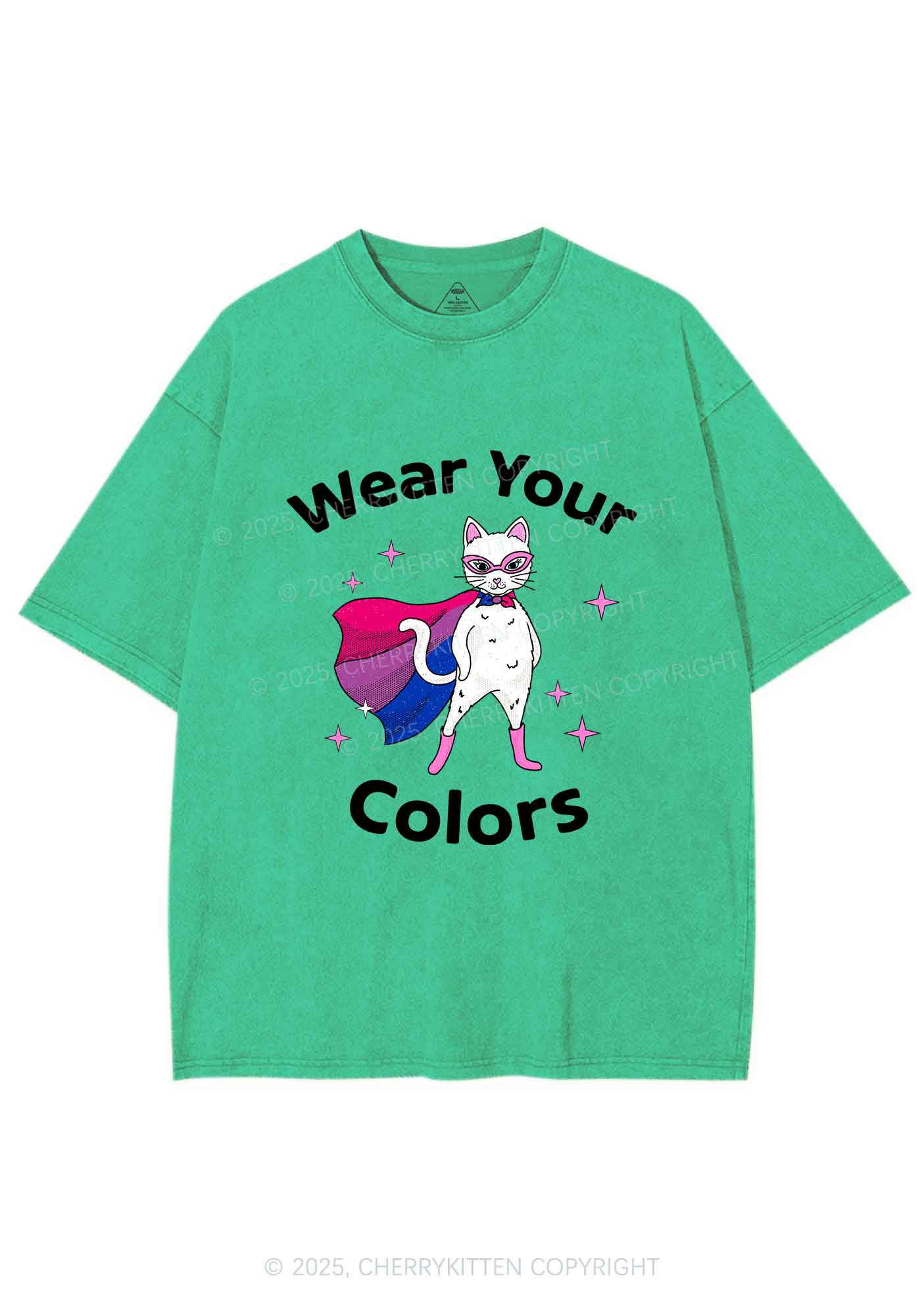 Bisexual Flag Cat Pride Y2K Shirts Washed Tee Cherrykitten