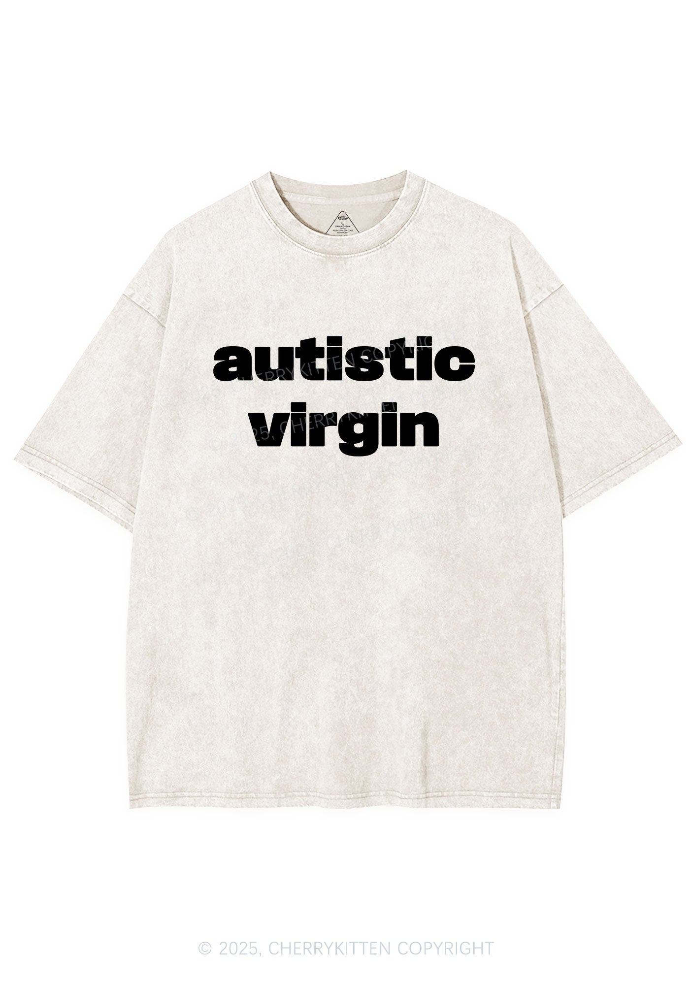 Autistic Virgin Y2K Shirts Washed Tee Cherrykitten