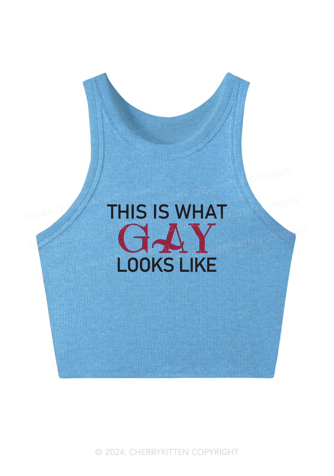 This Is What Gay Looks Like Y2K Crop Tank Top Cherrykitten