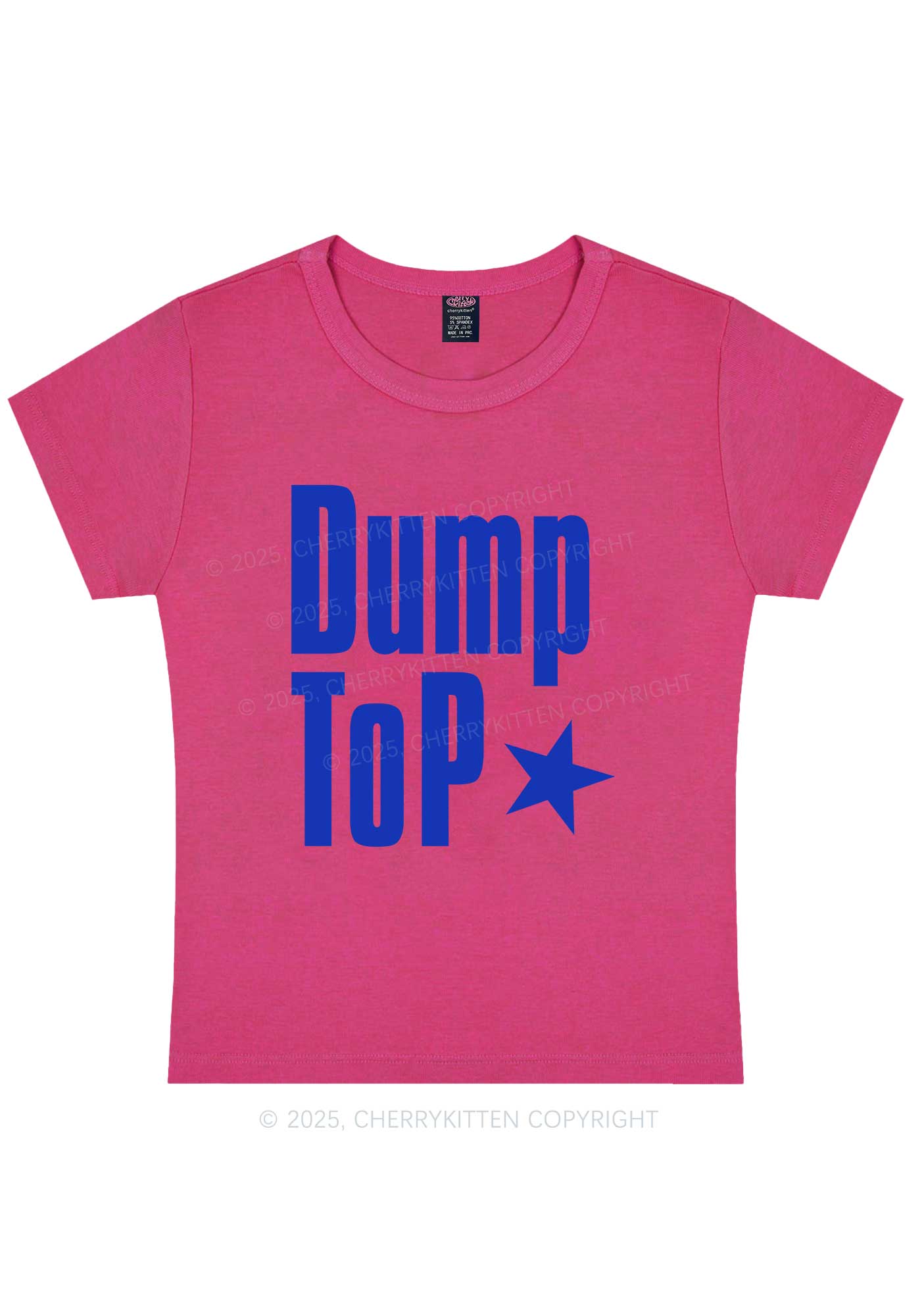 Dump Top Pride Y2K Baby Tee Cherrykitten