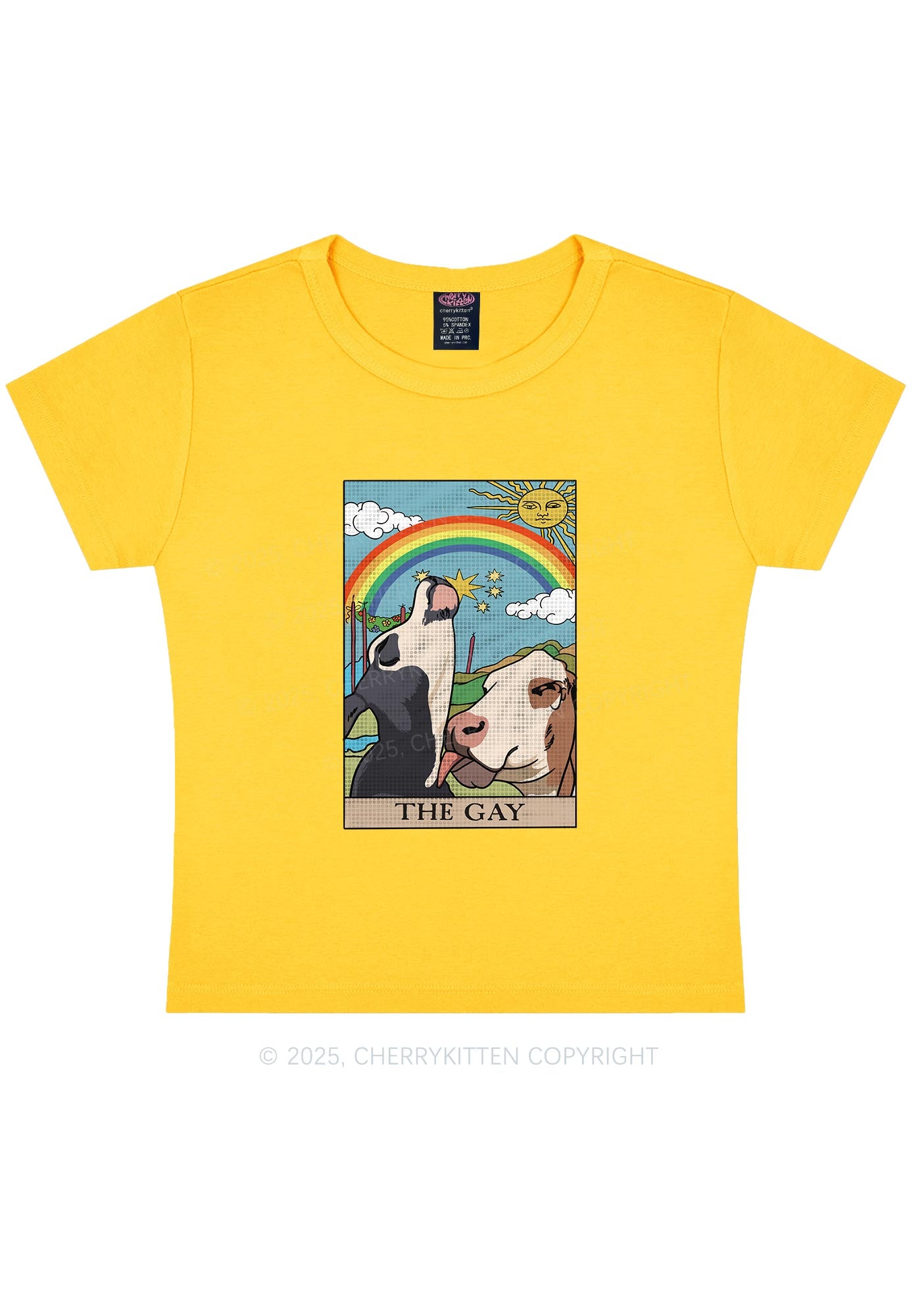 The Gay Pride Y2K Baby Tee Cherrykitten