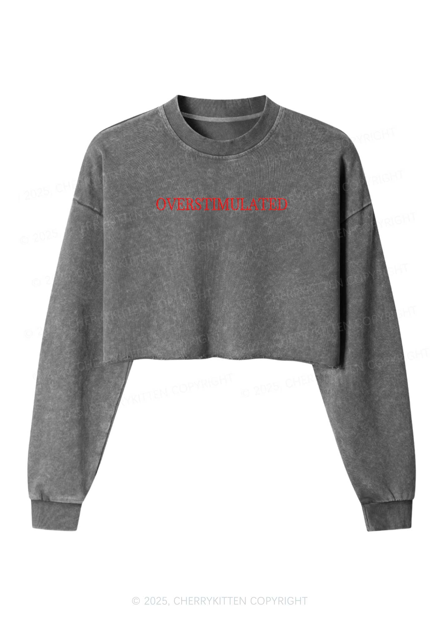 Embroidered Overstimulated Y2K Crop Washed Sweatshirts Cherrykitten