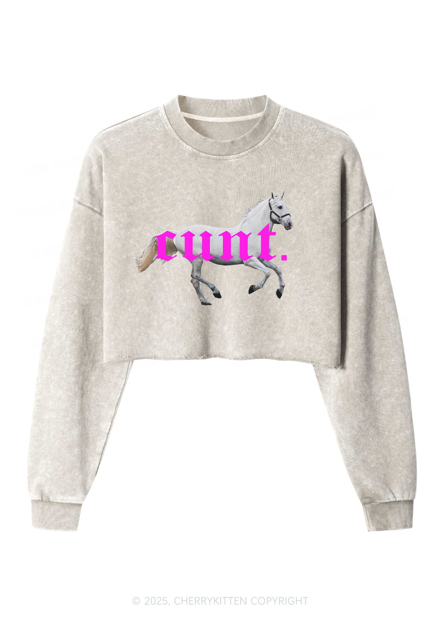 Cxxt Horse Y2K Crop Washed Sweatshirts Cherrykitten