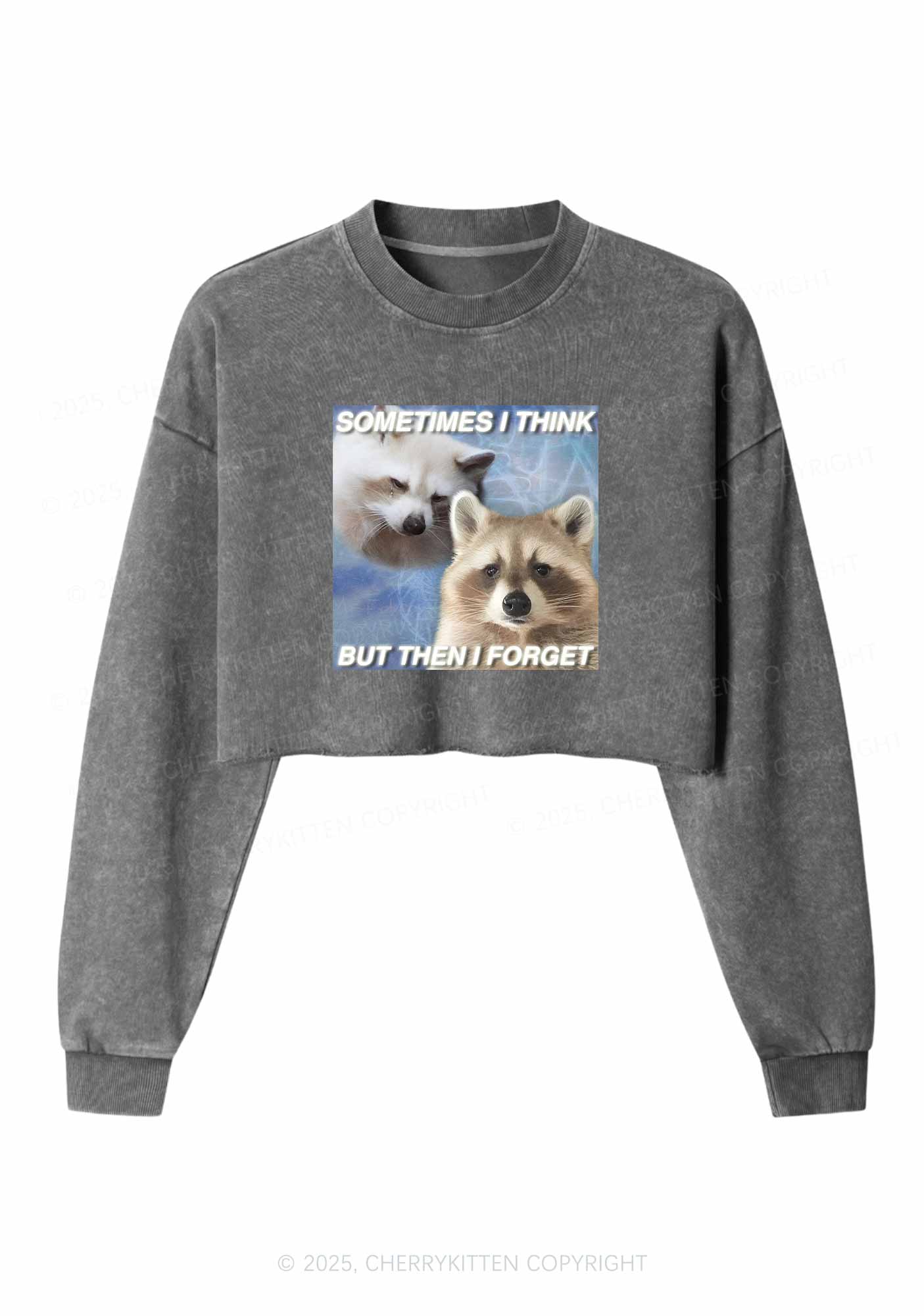 Raccoon Sometimes Think Y2K Crop Washed Sweatshirts Cherrykitten
