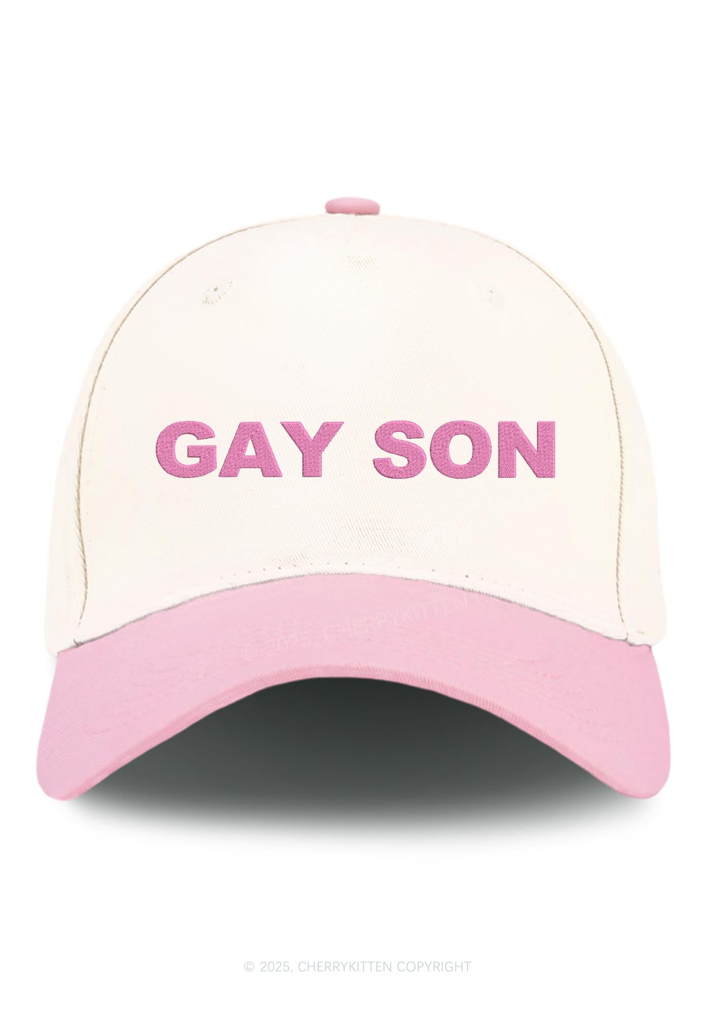 Embroidered Gay Son Pride Y2K Color Block Baseball Cap Cherrykitten