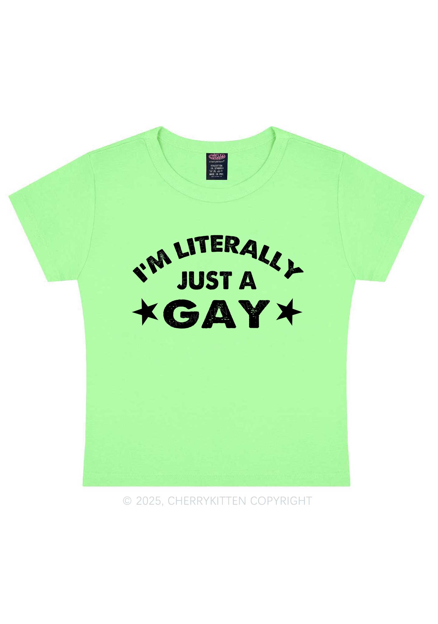 Literally Just A Gay Pride Y2K Baby Tee Cherrykitten