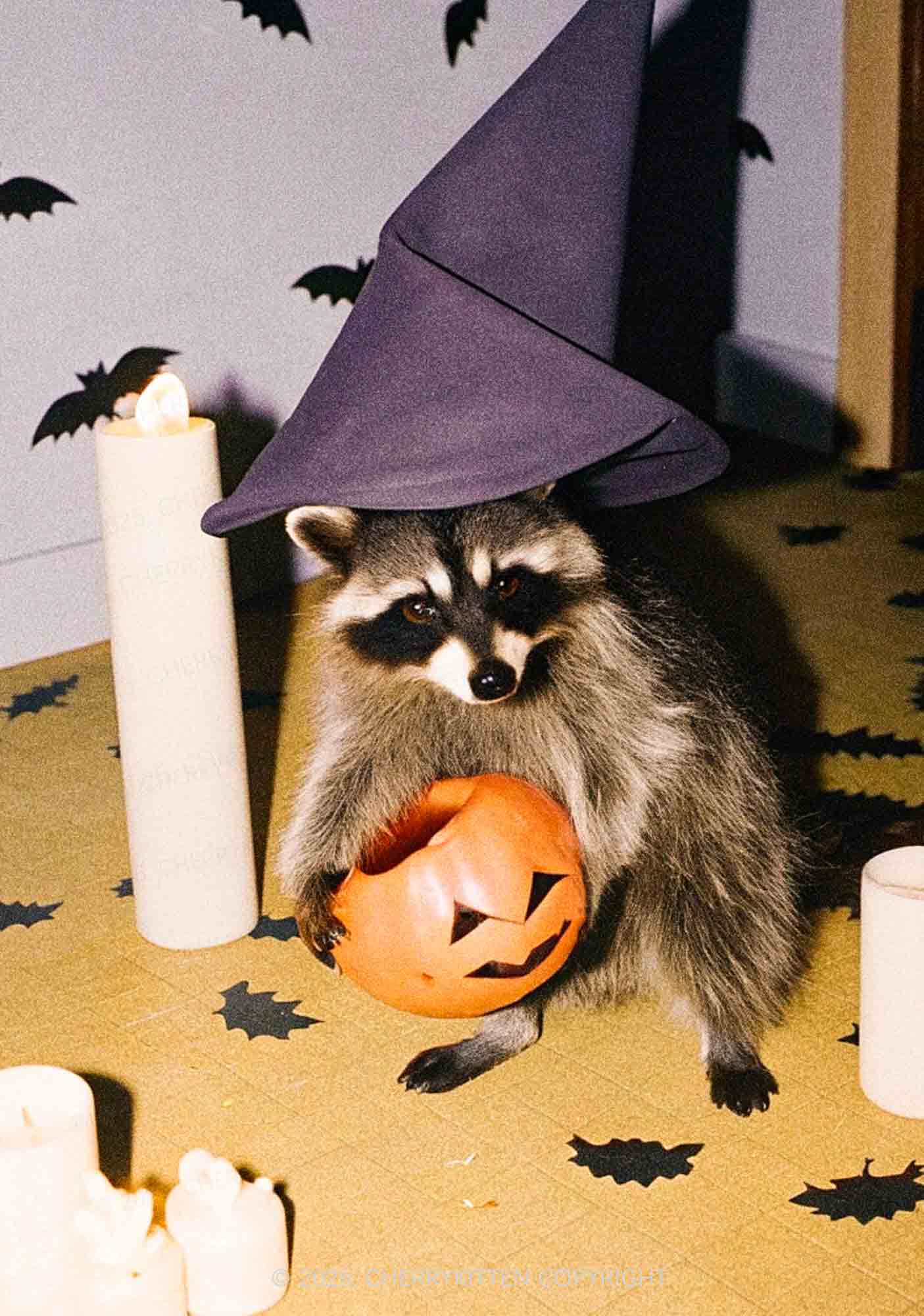 Halloween Witch Hat Raccoon Y2K Print Slip Dress Cherrykitten