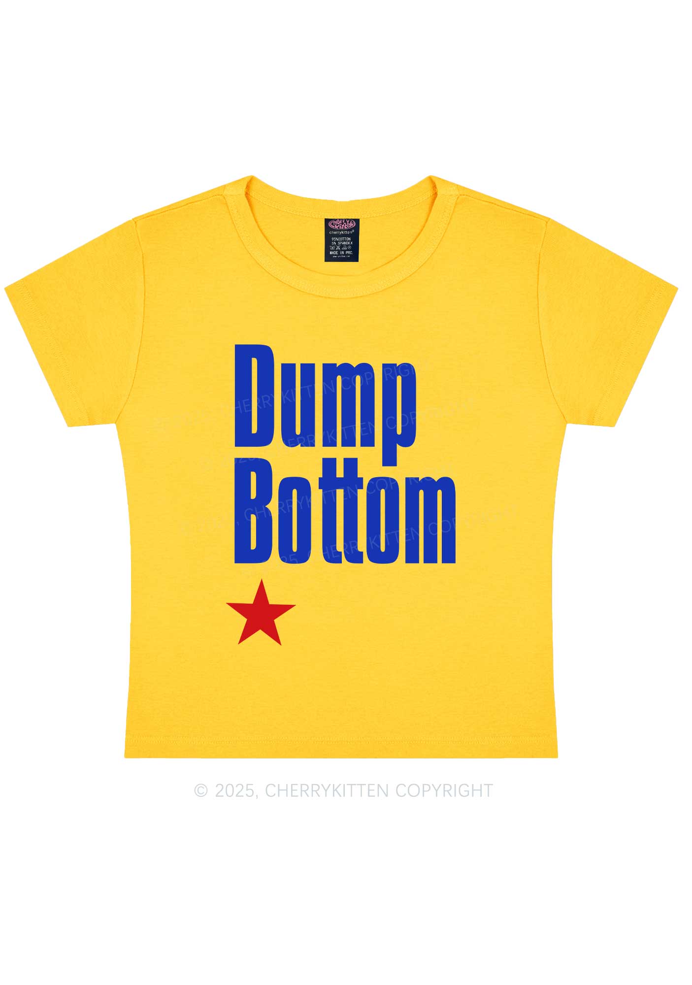 Dump Bottom Pride Y2K Baby Tee Cherrykitten