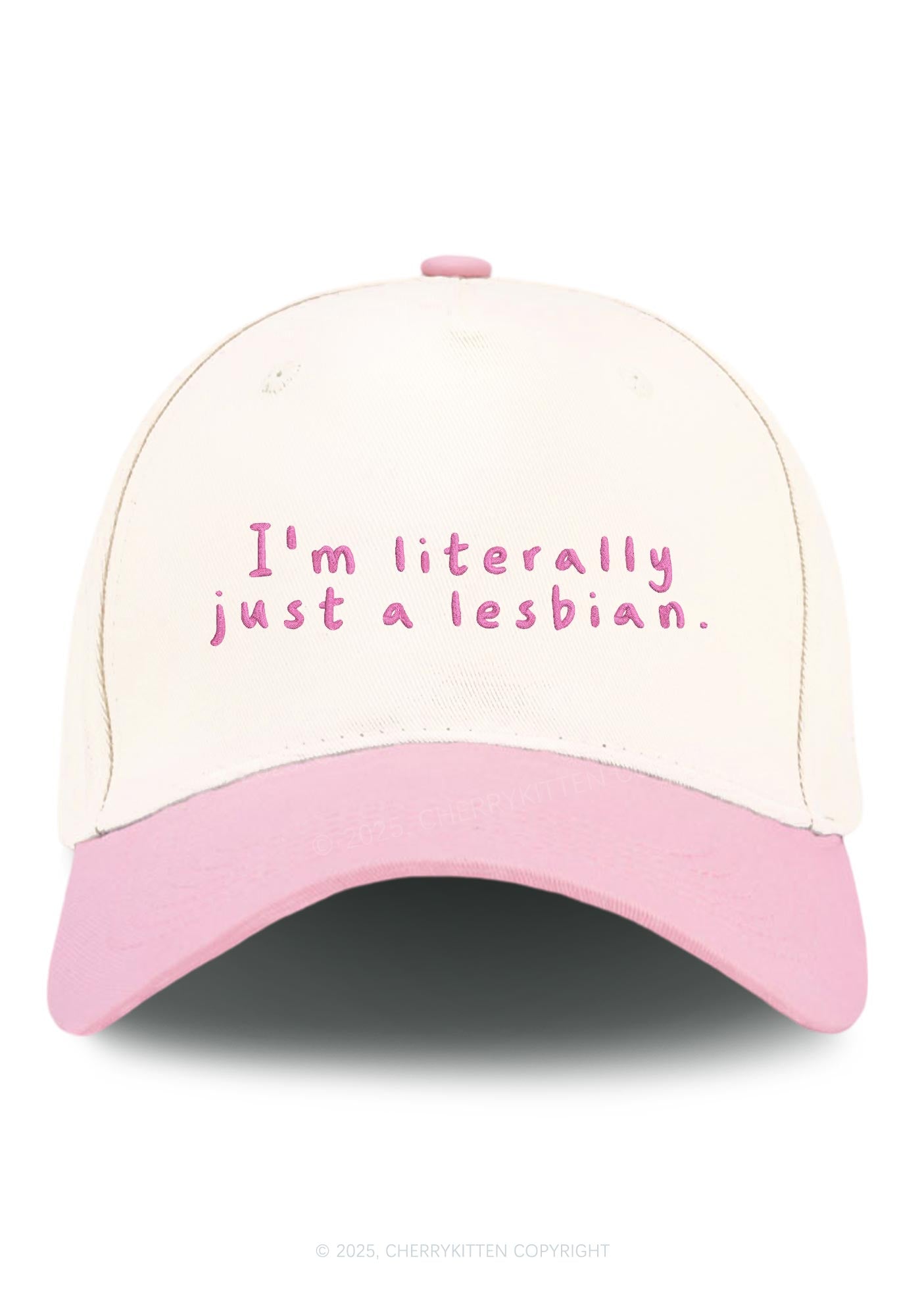 Embroidered Just A Lesbian Pride Y2K Color Block Baseball Cap Cherrykitten