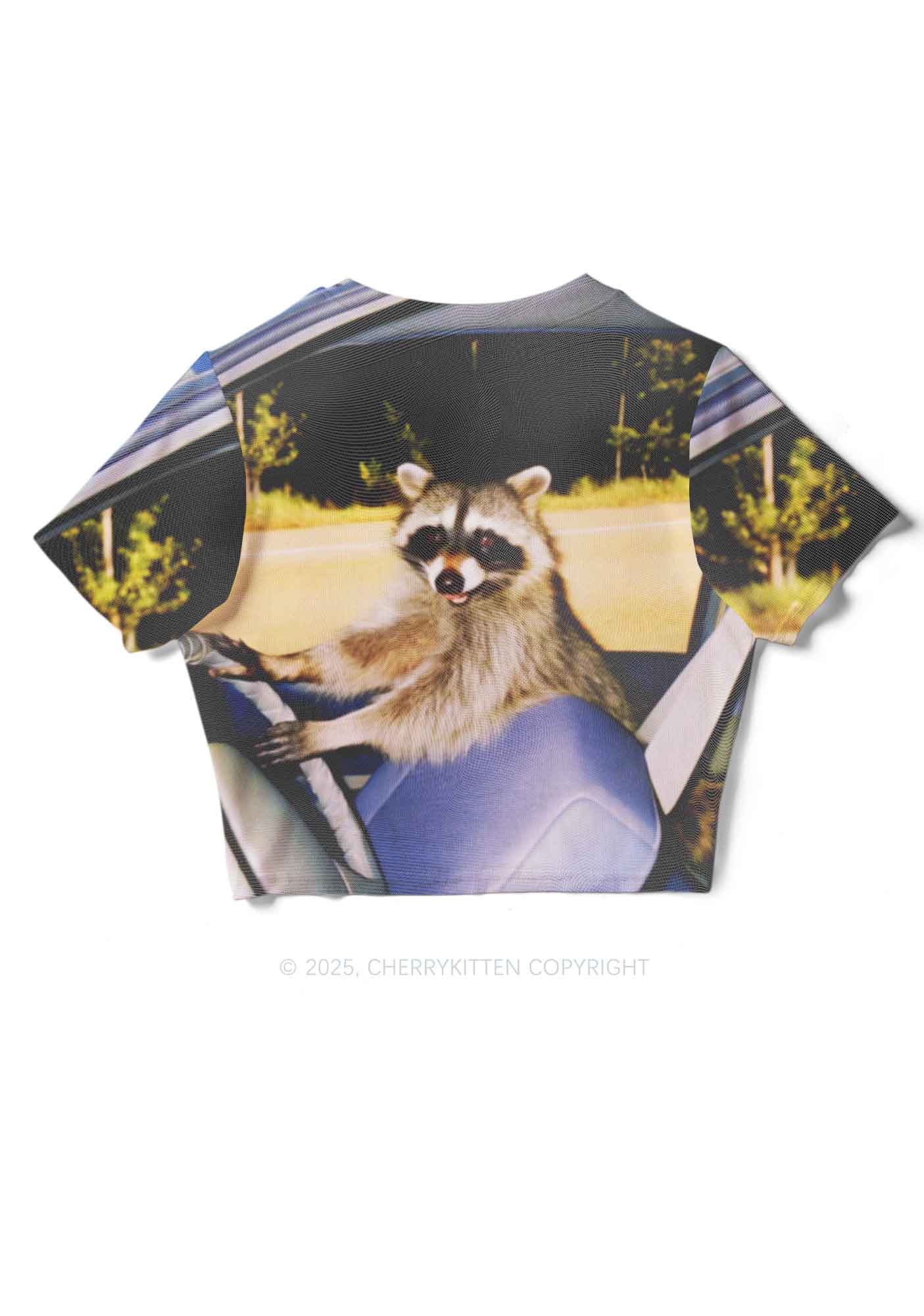 Raccoon Driver Y2K Mesh Crop Top Cherrykitten