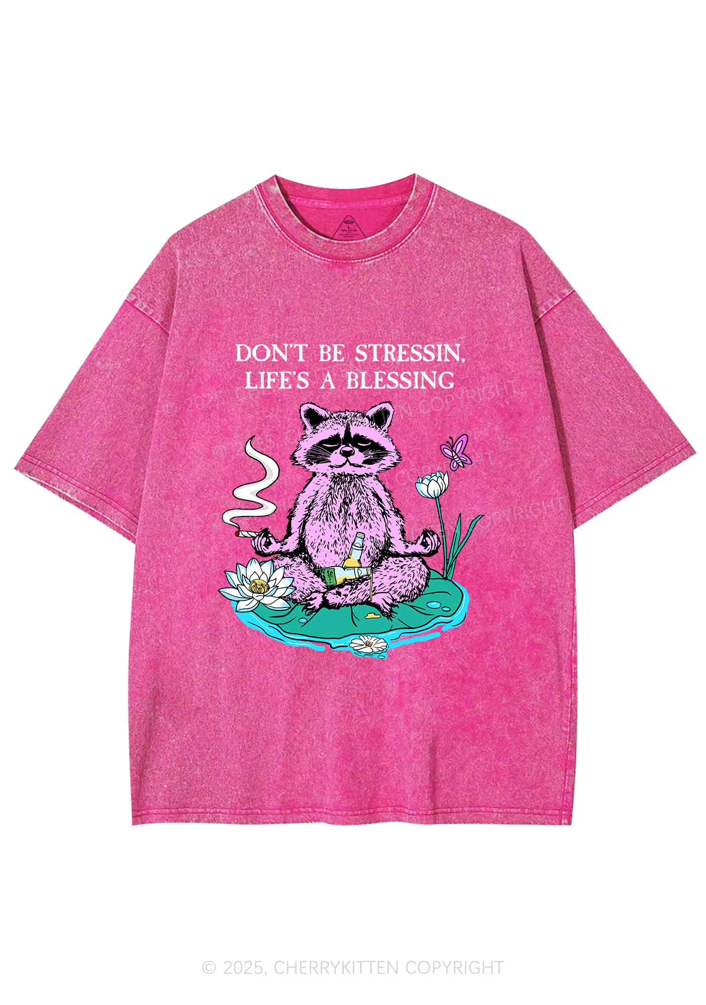 Dont Stress Raccoon Y2K Shirts Washed Tee Cherrykitten