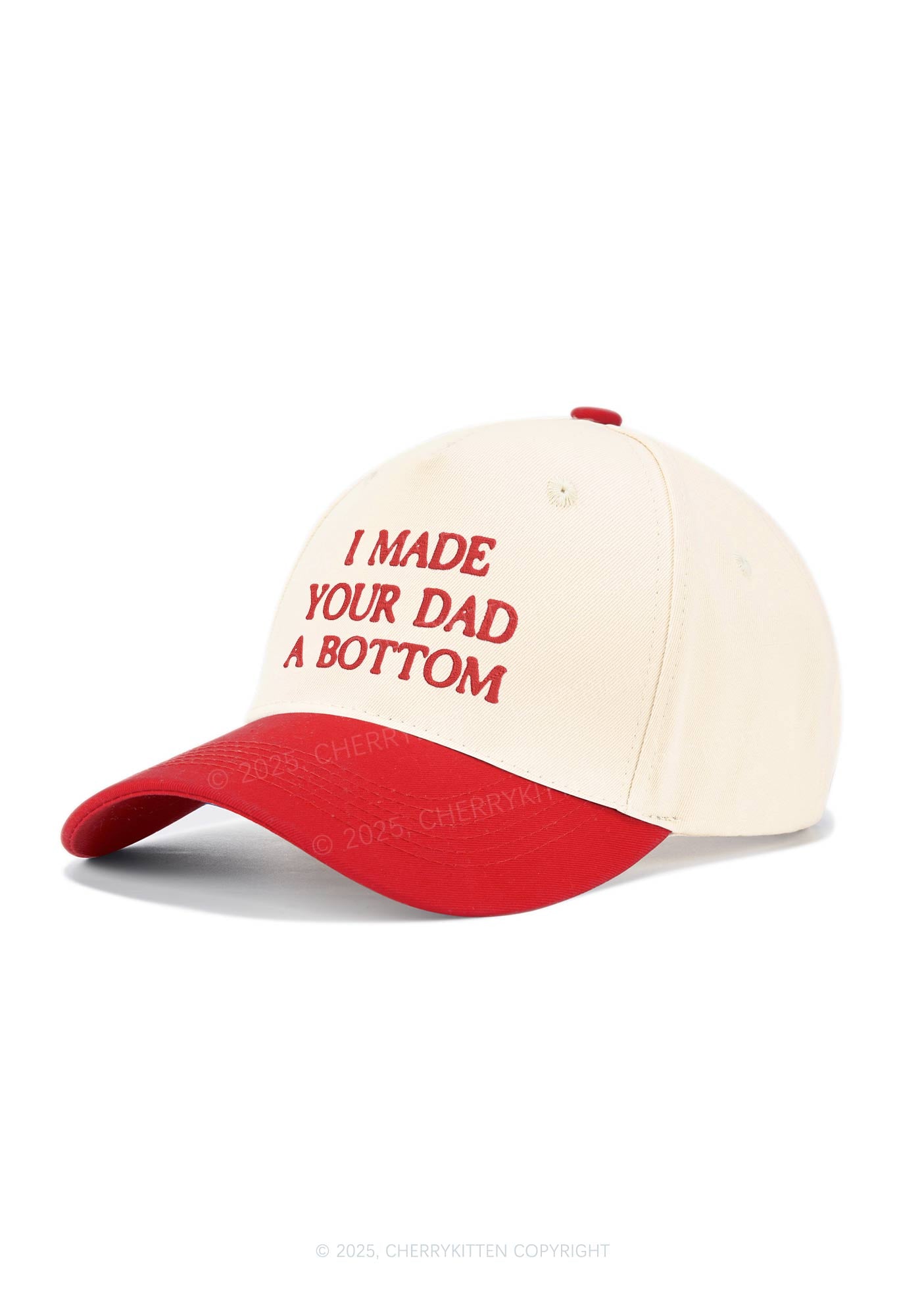 Embroidered Made Your Dad Bottom Pride Y2K Color Block Baseball Cap Cherrykitten
