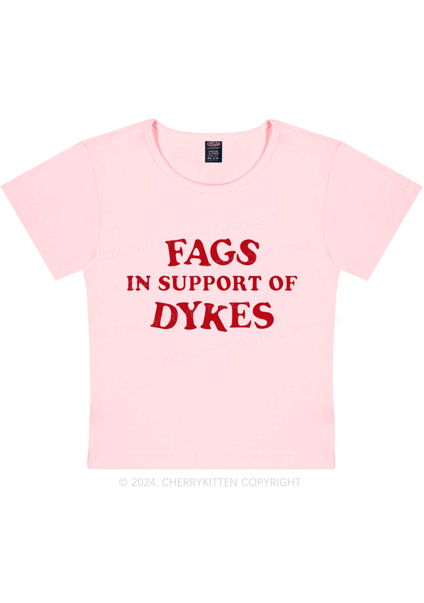 Fags Dykes Y2K Baby Tee Cherrykitten
