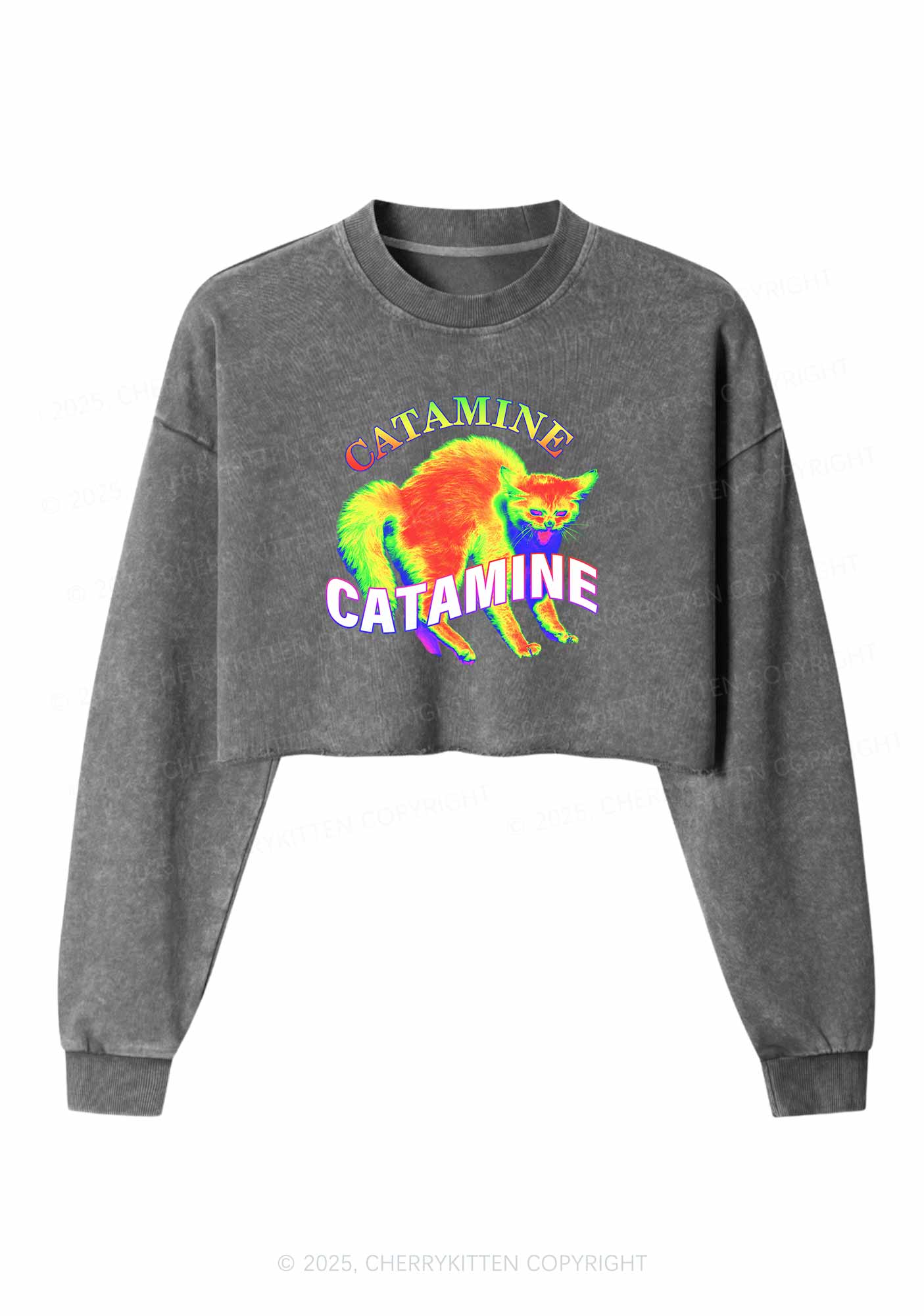 Thermal Cat Y2K Crop Washed Sweatshirts Cherrykitten