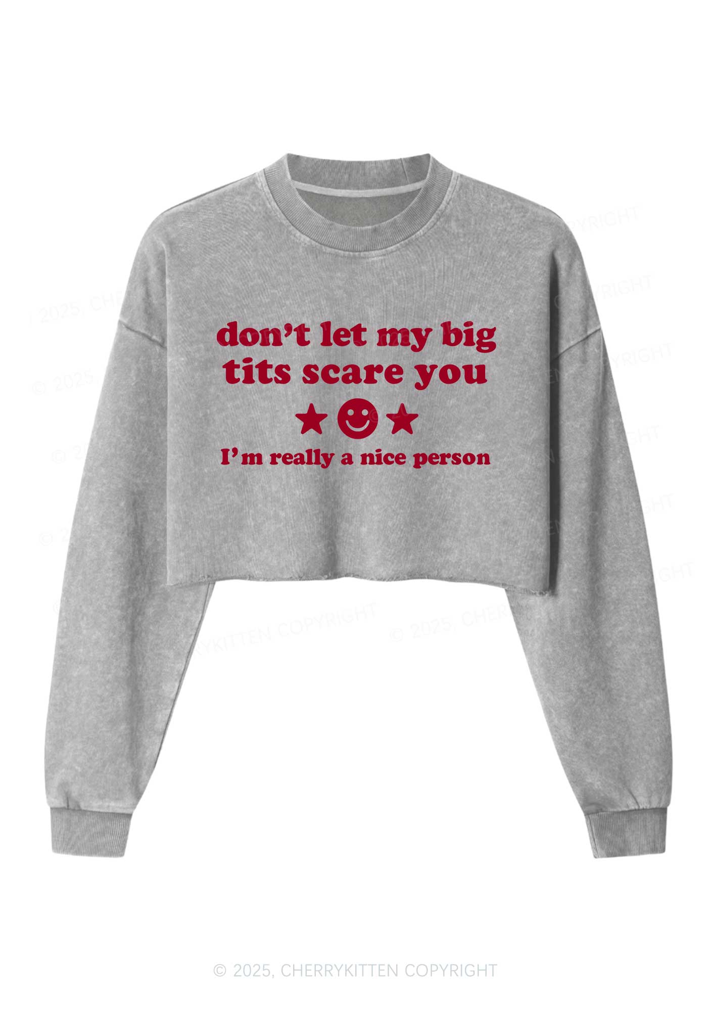 Dont Let My Big Txts Scare You Y2K Crop Washed Sweatshirts Cherrykitten