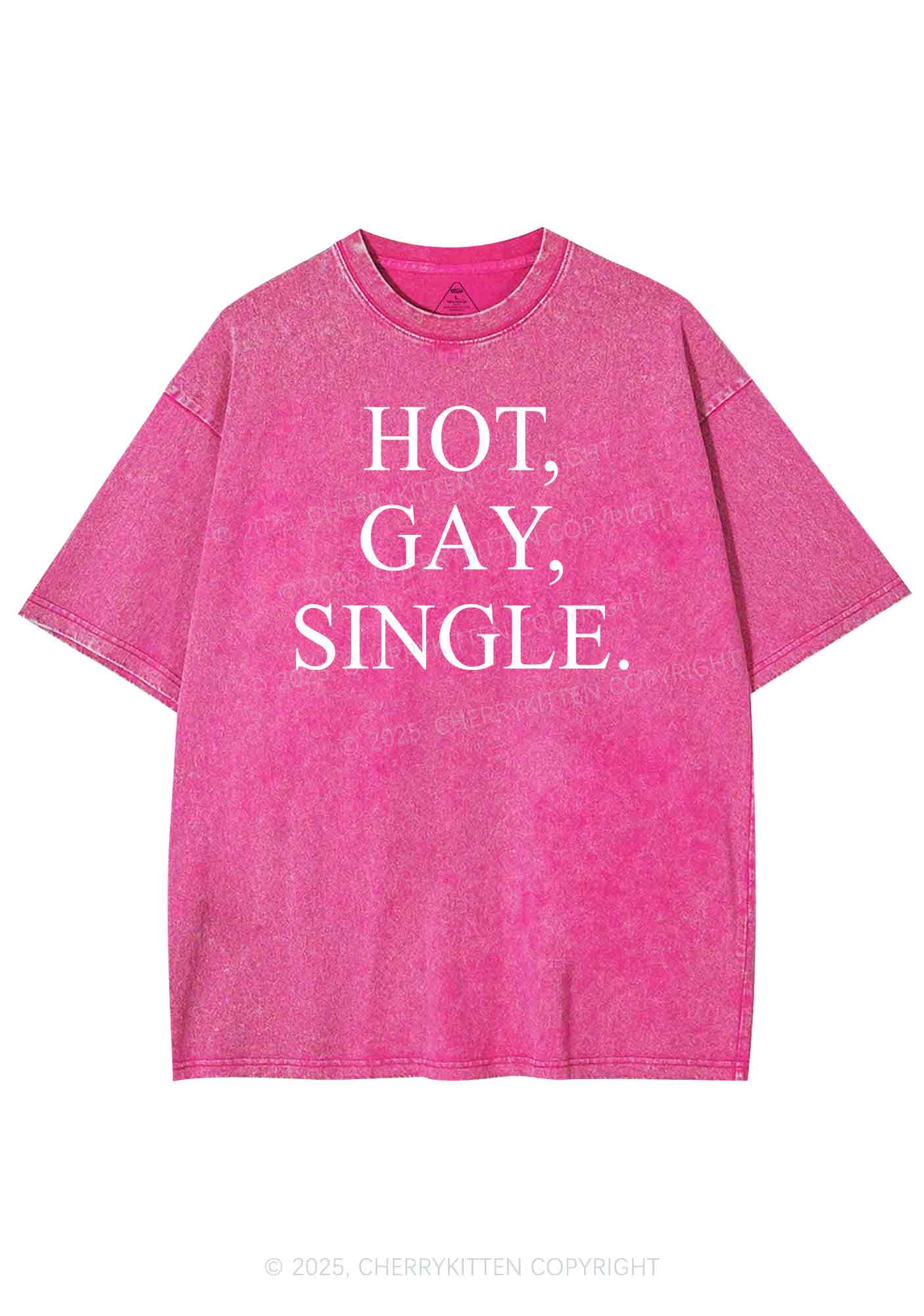 Hot Gay Single Pride Y2K Shirts Washed Tee Cherrykitten