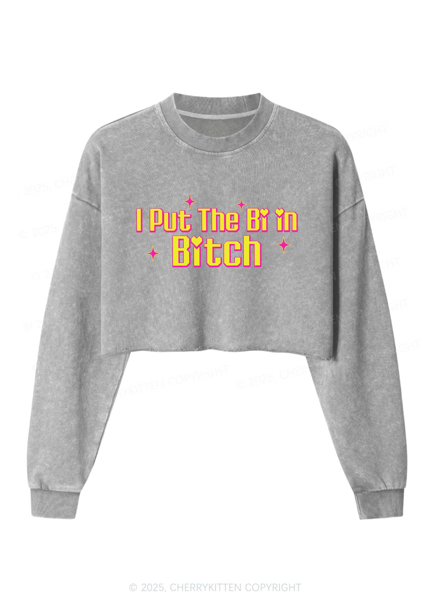 Put The Bi In Bxxch Pride Y2K Crop Washed Sweatshirts Cherrykitten