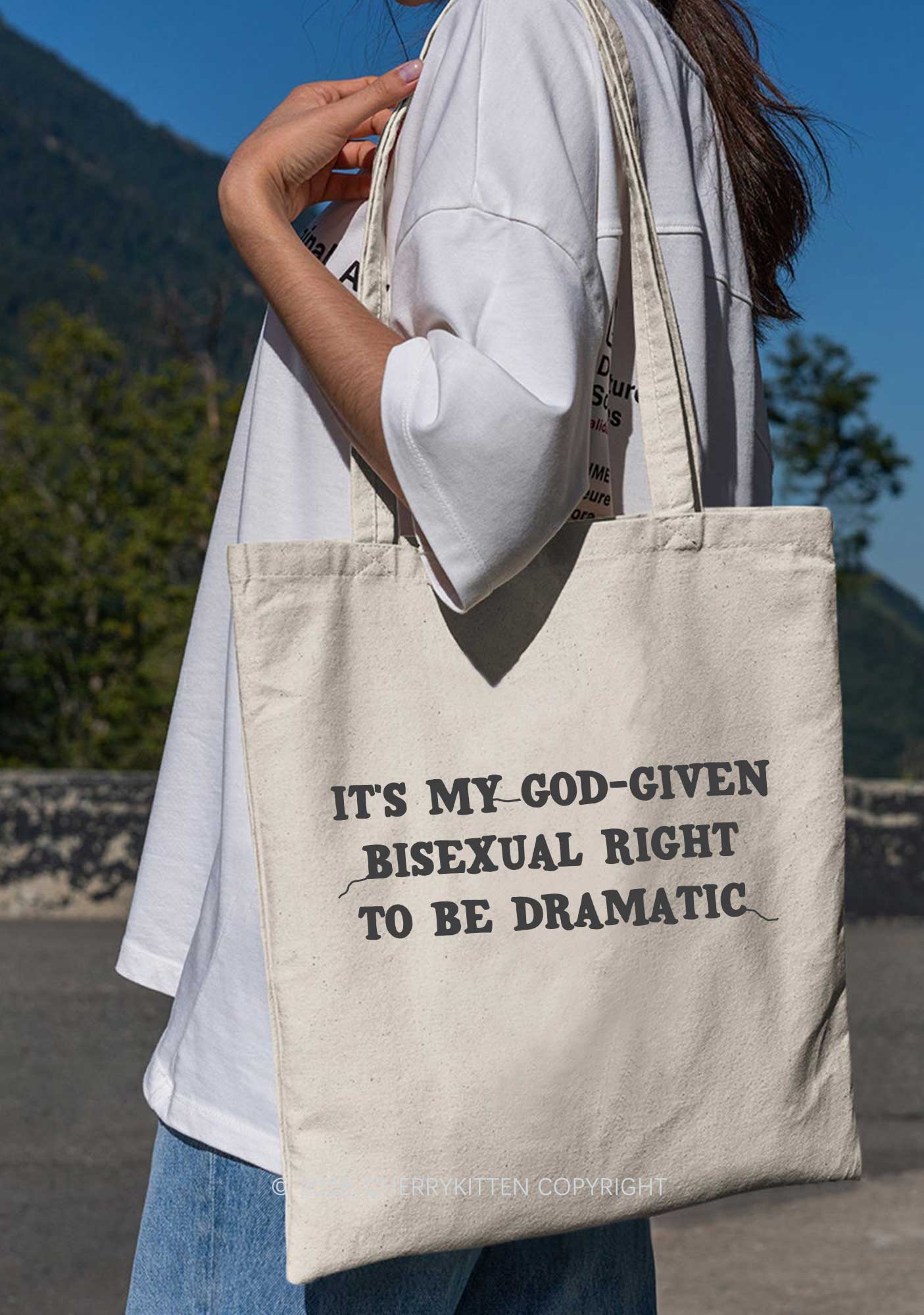 God Given Bisexual Right Pride Y2K Canvas Tote Bag Cherrykitten