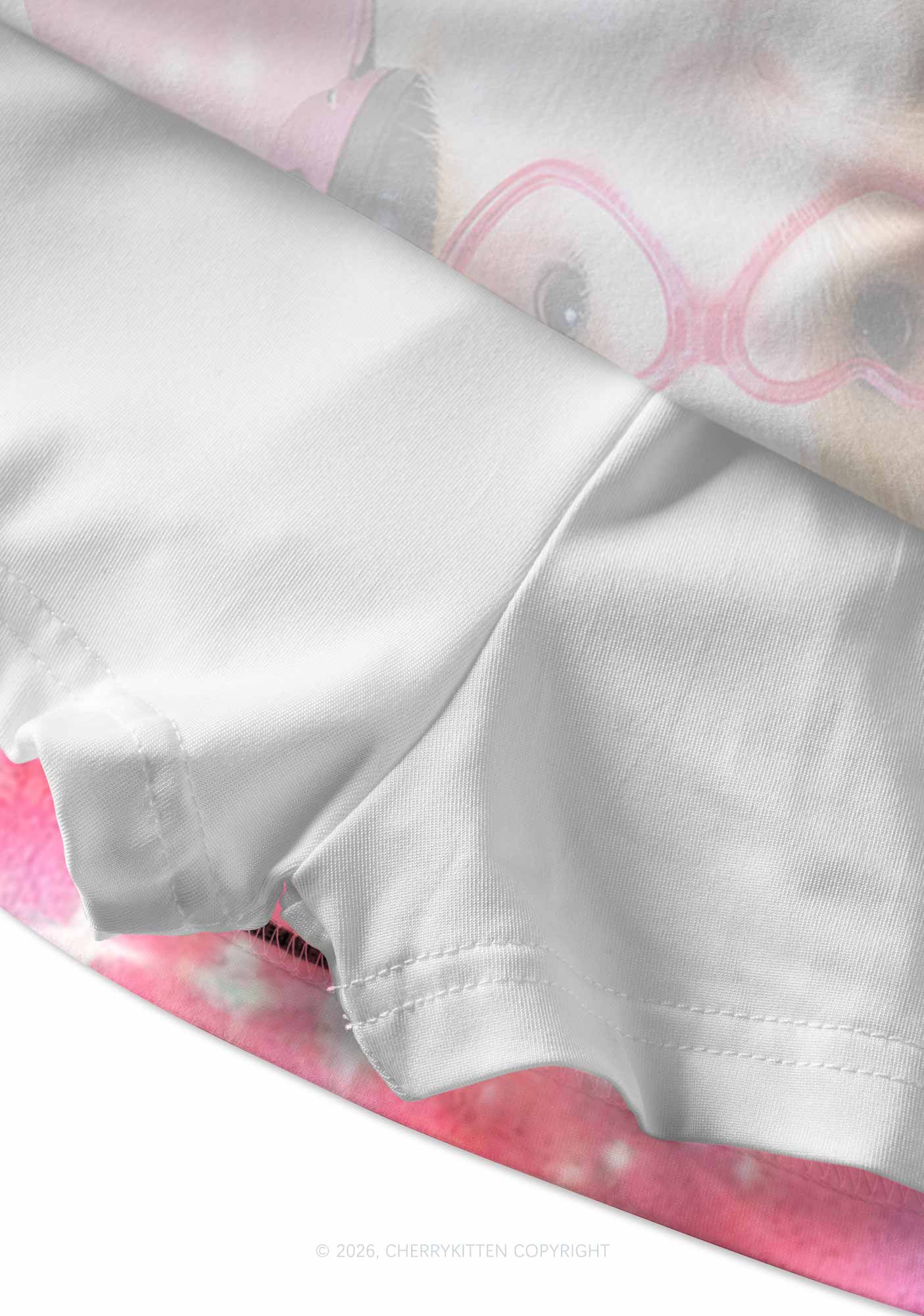 DJ Guinea Pig Y2K Print Mini Skirt Cherrykitten