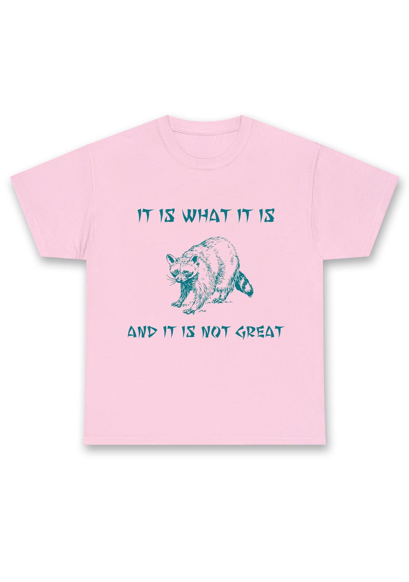 It Is What It Is And It Is Not Great Chunky Shirt