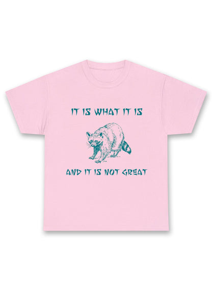It Is What It Is And It Is Not Great Chunky Shirt