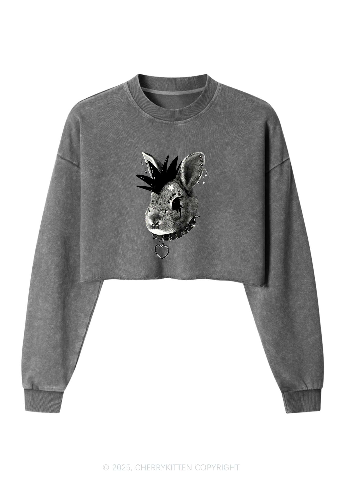 Custom Punk Pet Y2K Crop Washed Sweatshirts Cherrykitten