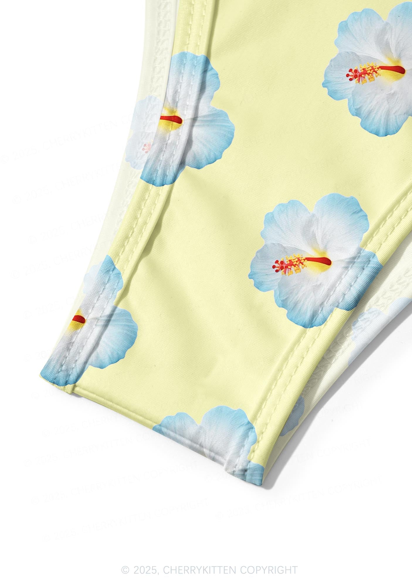 Blue Flowers Y2K Print Bikini Set Cherrykitten