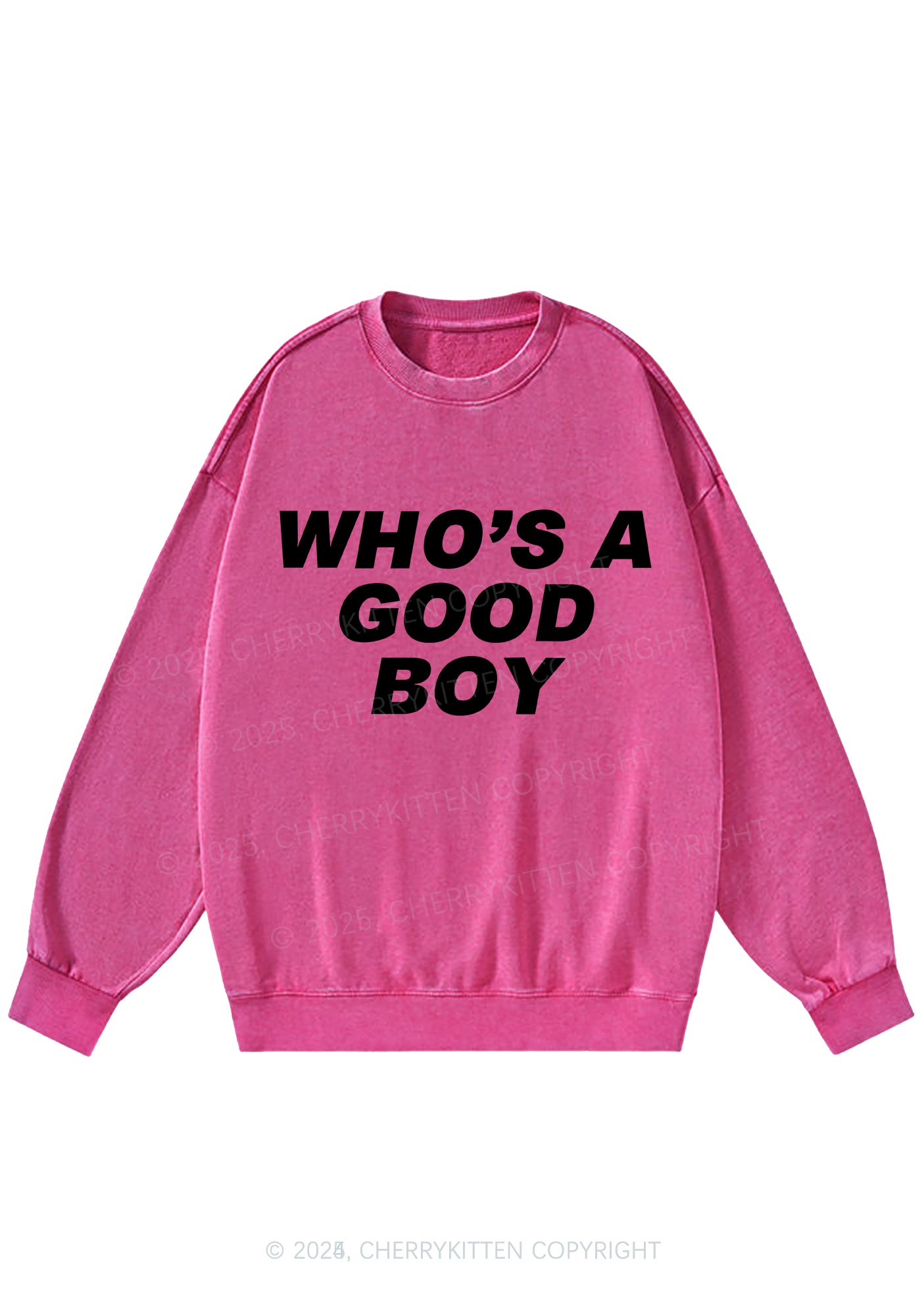 Whos A Good Boy Y2K Washed Sweatshirts Cherrykitten