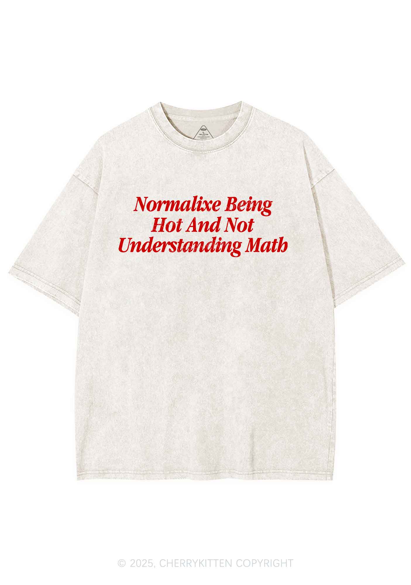 Hot And Not Understanding Math Y2K Washed Tee Cherrykitten