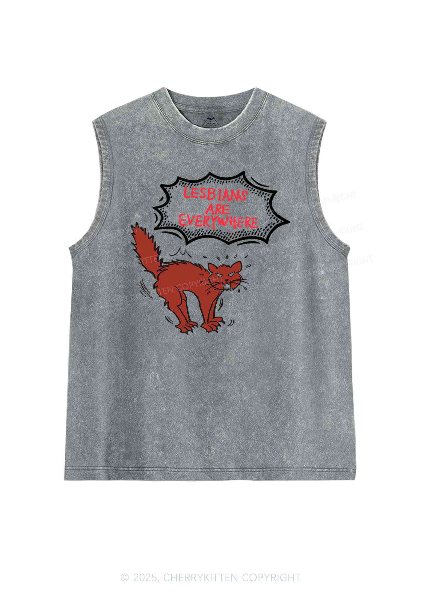 Lesbians Are Everywhere Pride Y2K Washed Muscle Tank Cherrykitten