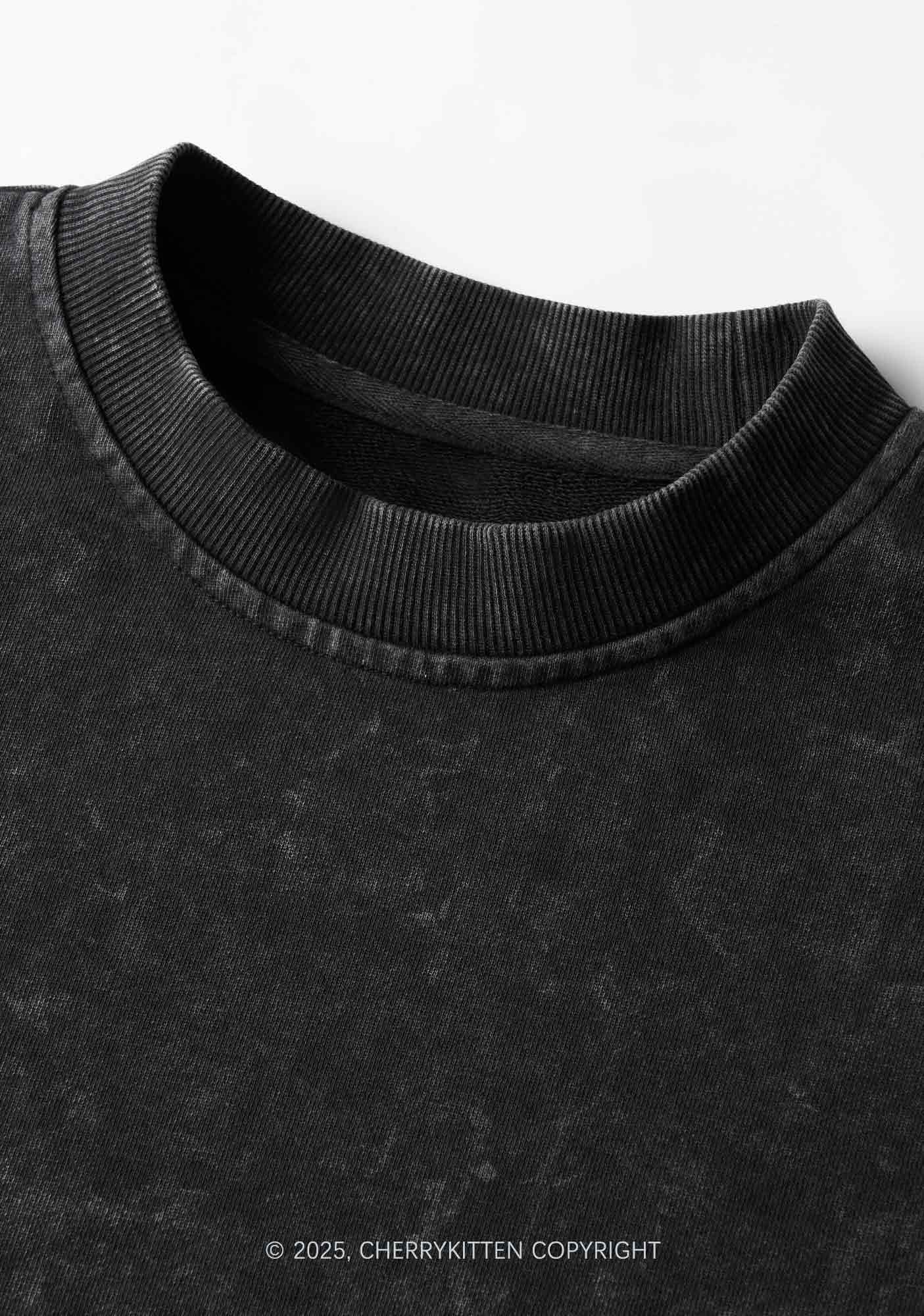 Custom Pet Photo Y2K Crop Washed Sweatshirts Cherrykitten