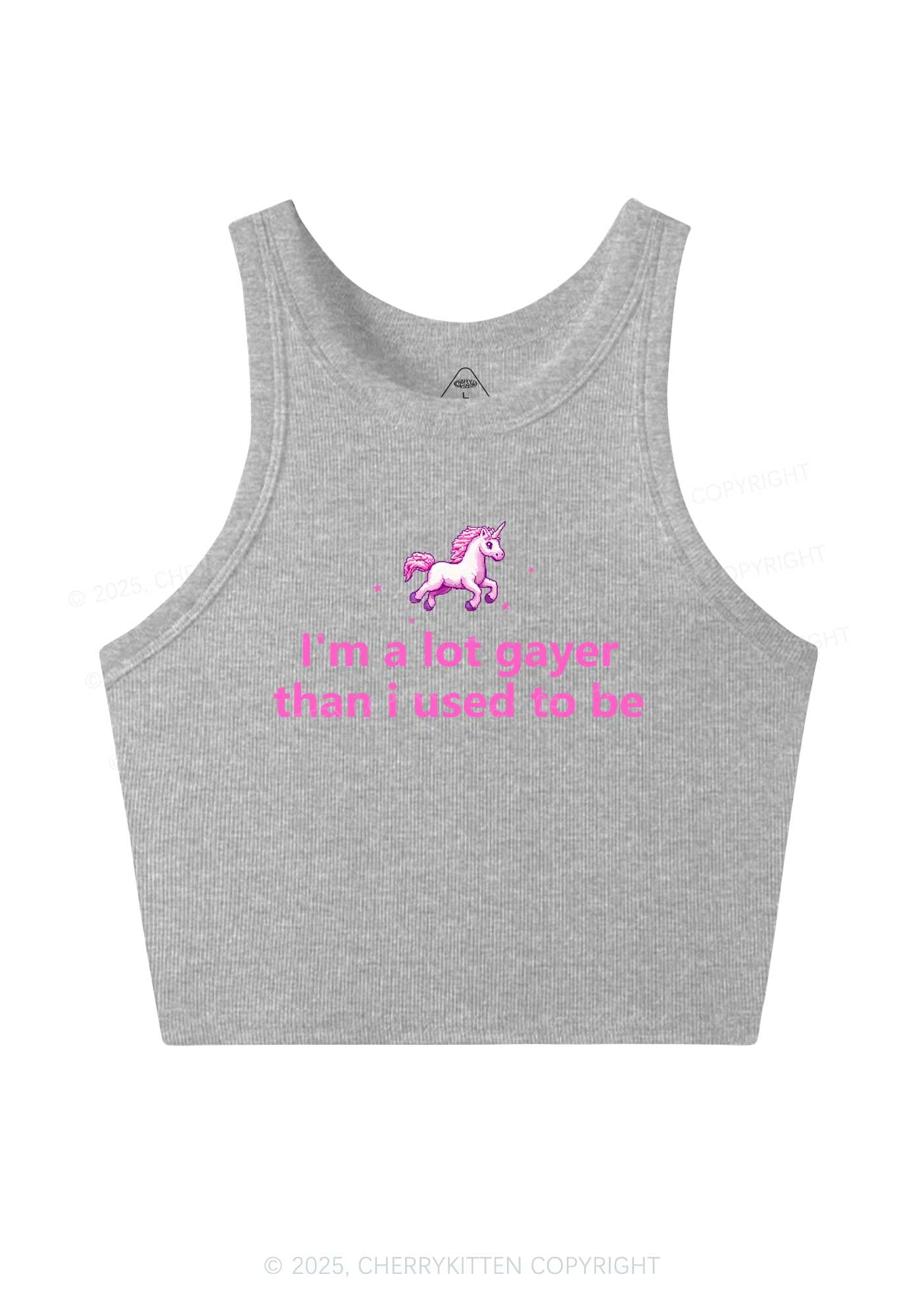 Im A Lot Gayer Pride Y2K Crop Tank Top Cherrykitten