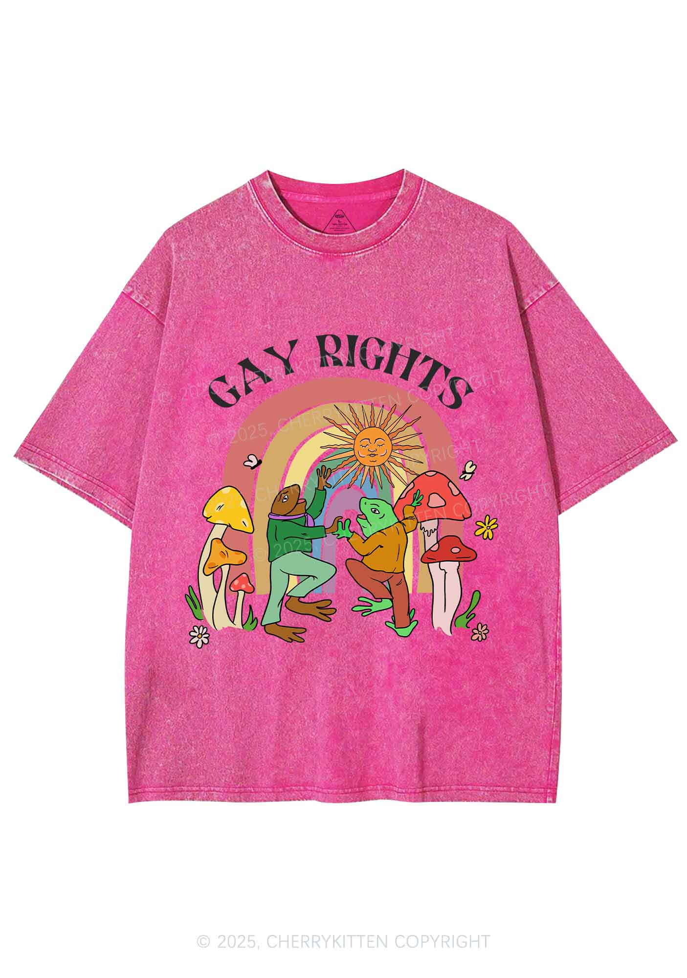 Gay Rights Pride Y2K Shirts Washed Tee Cherrykitten