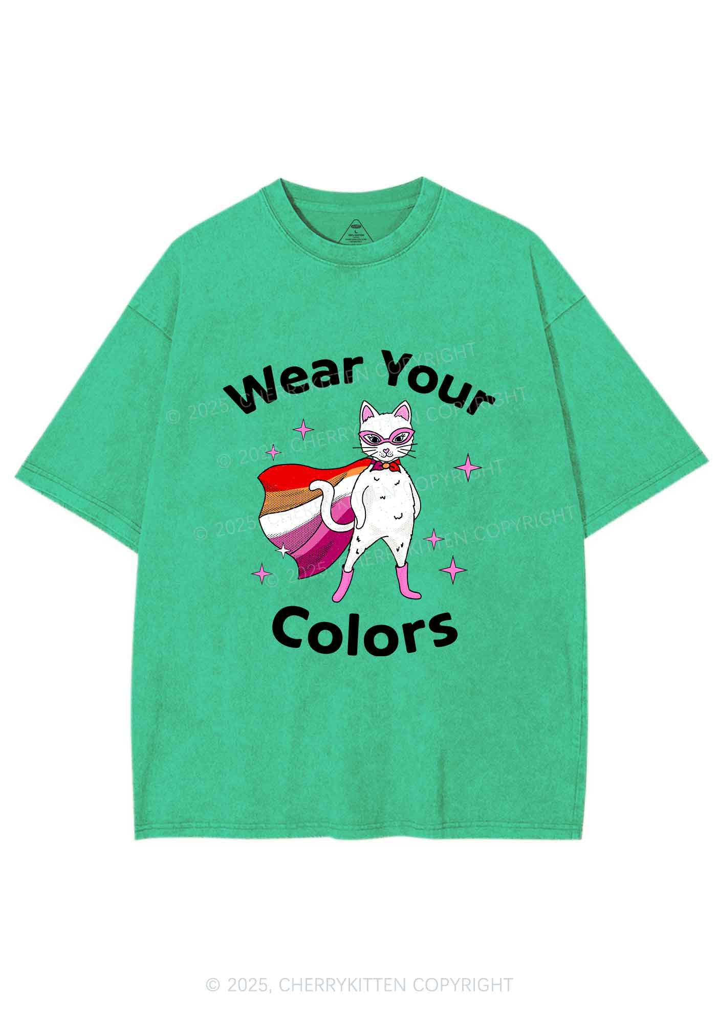 Lesbian Flag Cat Pride Y2K Shirts Washed Tee Cherrykitten