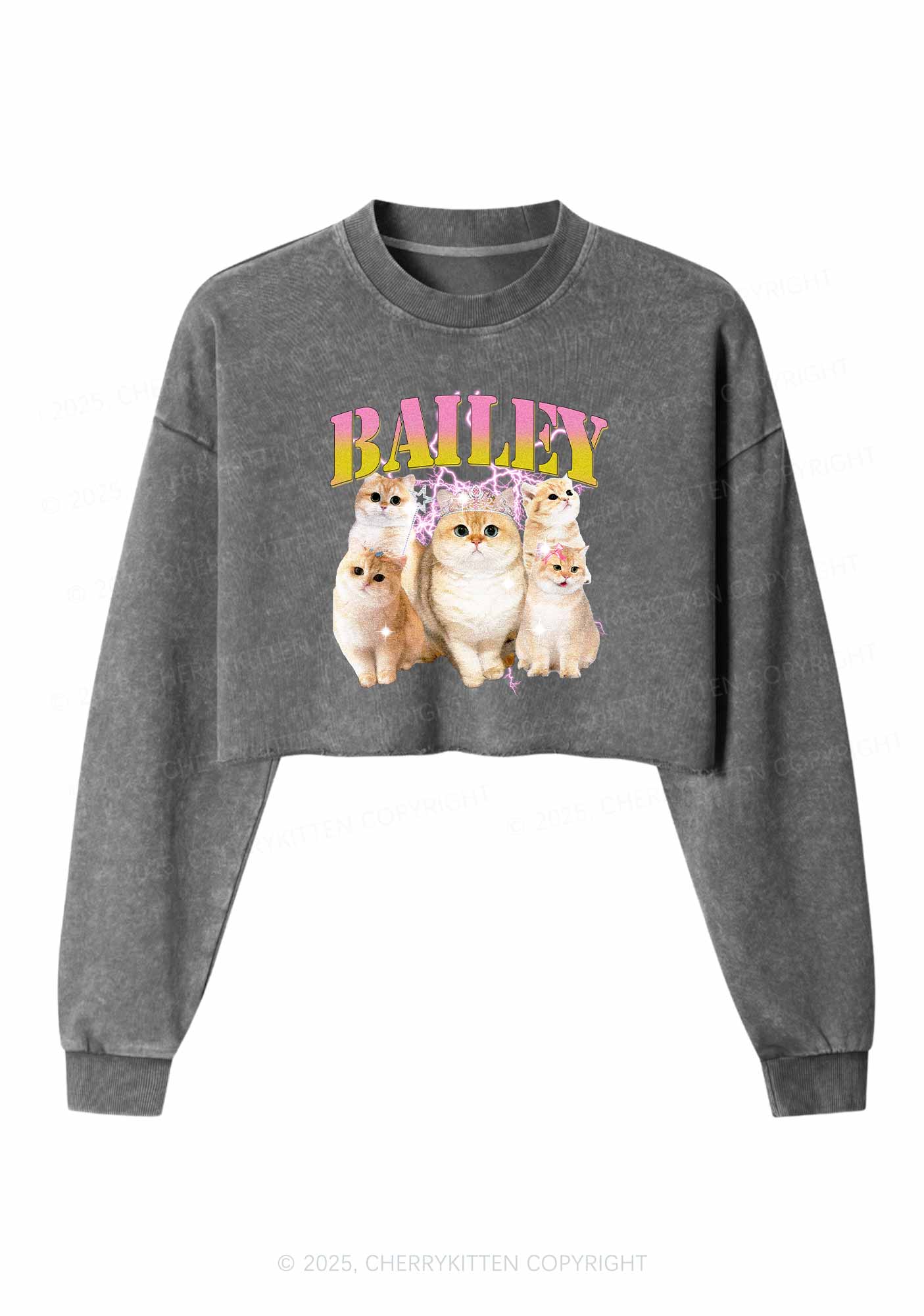 Custom Cat Photo Y2K Crop Washed Sweatshirts Cherrykitten