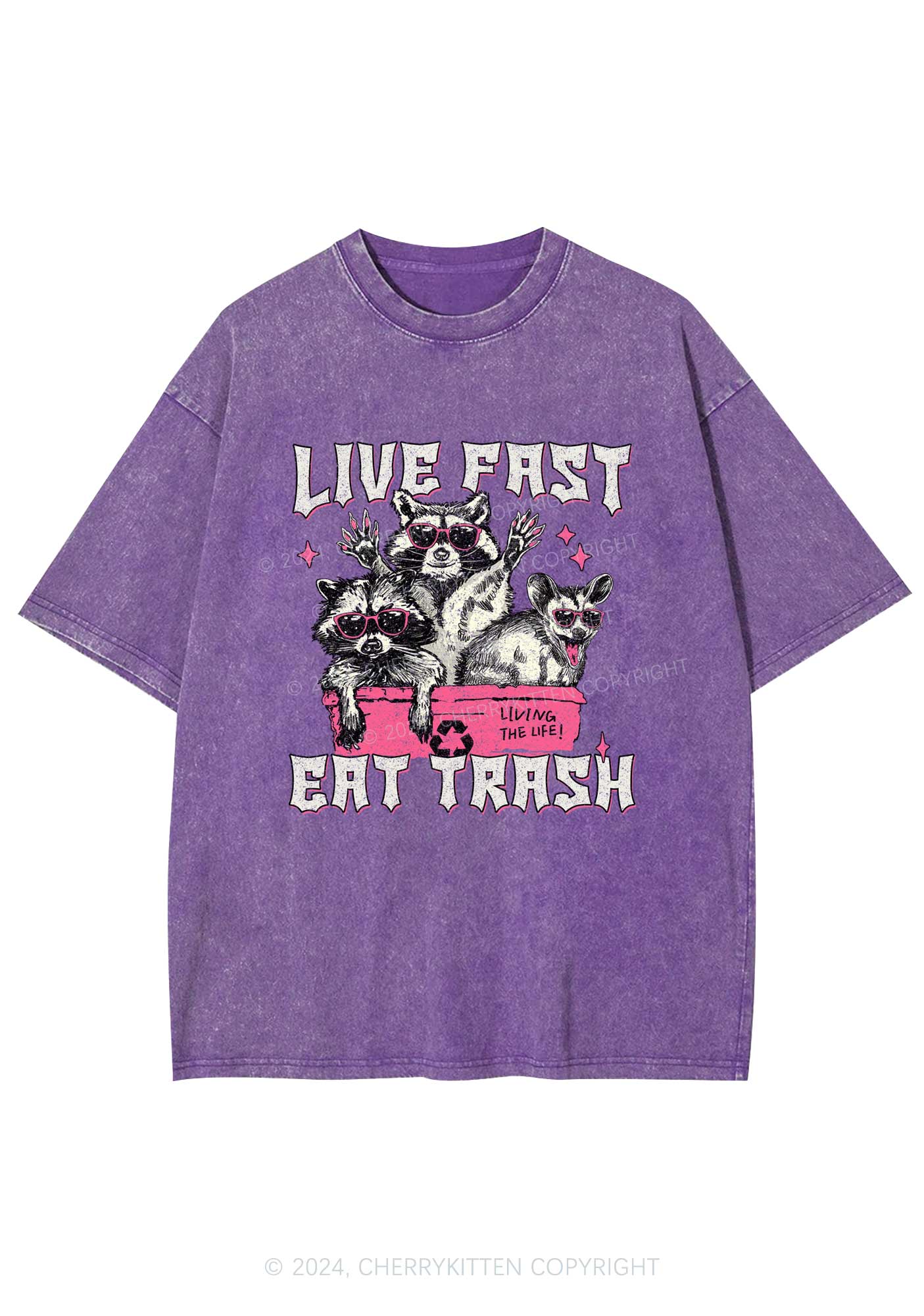 Live Fast Eat Trash Y2K Washed Tee Cherrykitten