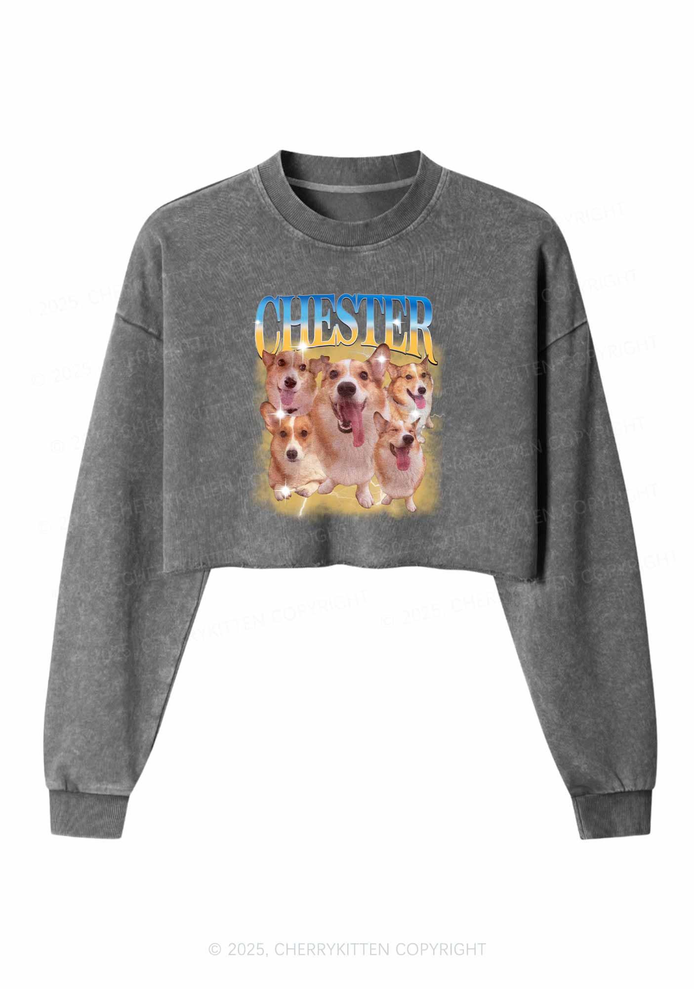 Custom Dog Photo Y2K Crop Washed Sweatshirts Cherrykitten
