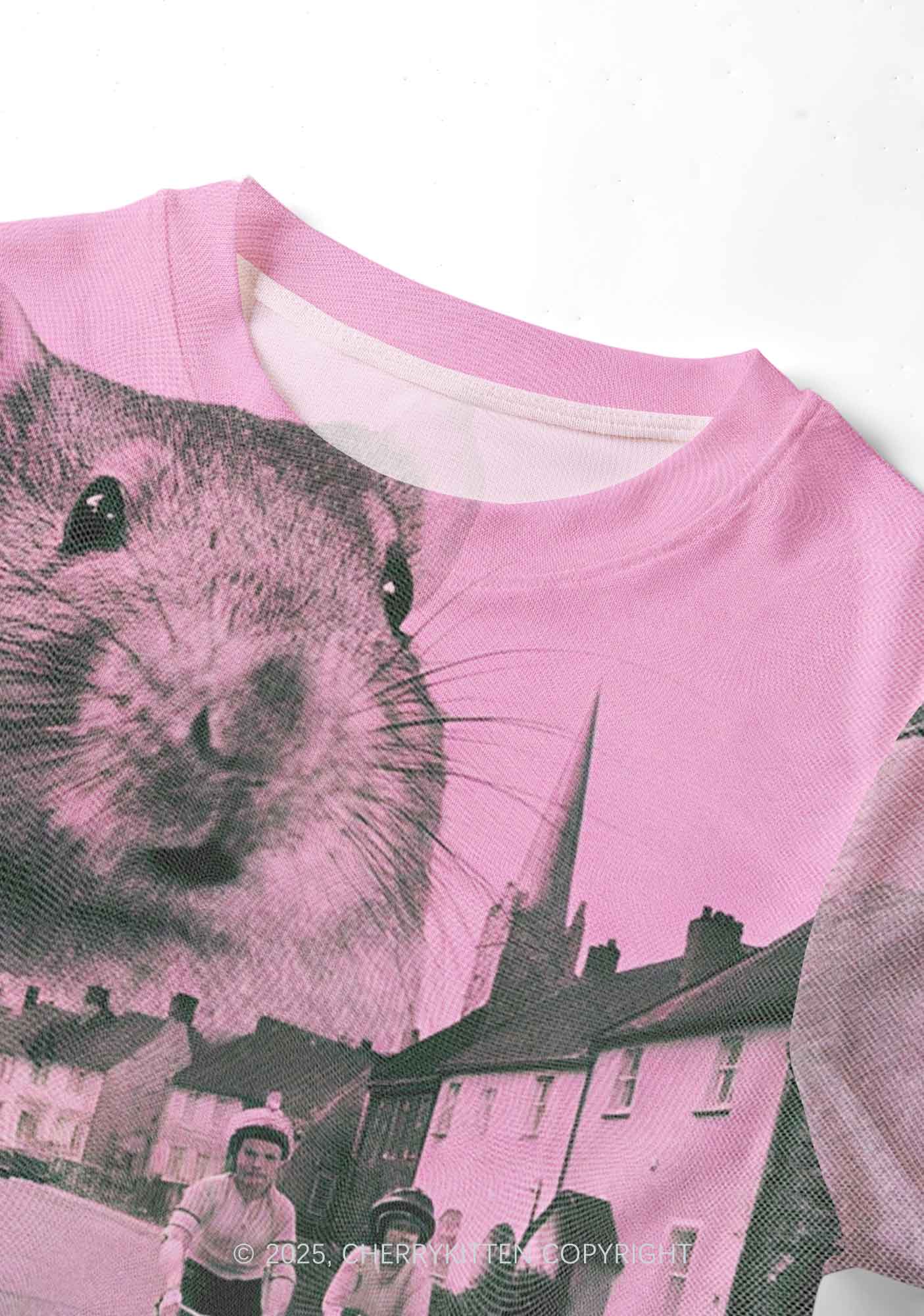 Rat Street Y2K Mesh Crop Top Cherrykitten
