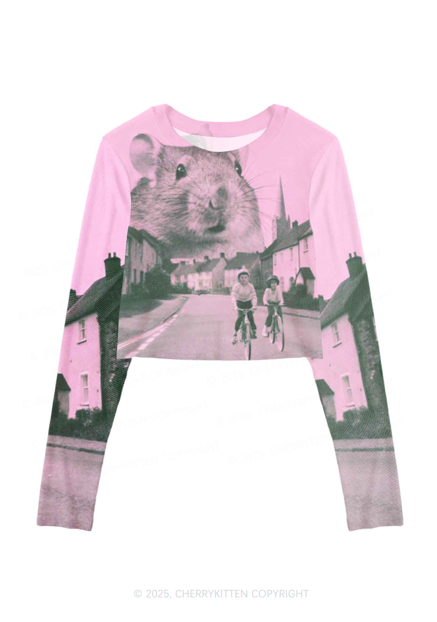 Rat Street Y2K Mesh Long Sleeve Crop Top Cherrykitten