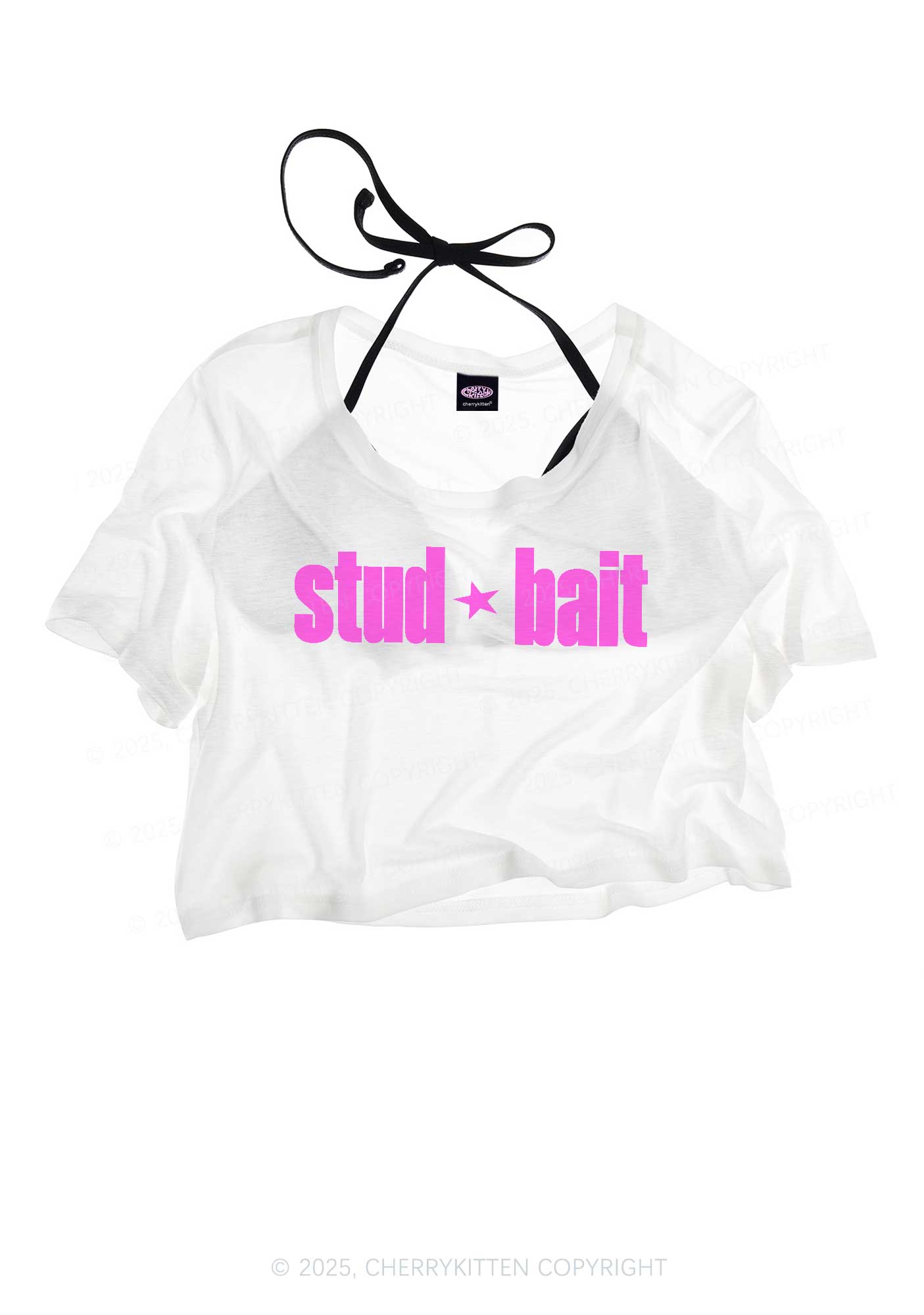 Stud Bait Pride Y2K Sheer Crop Tee Cherrykitten