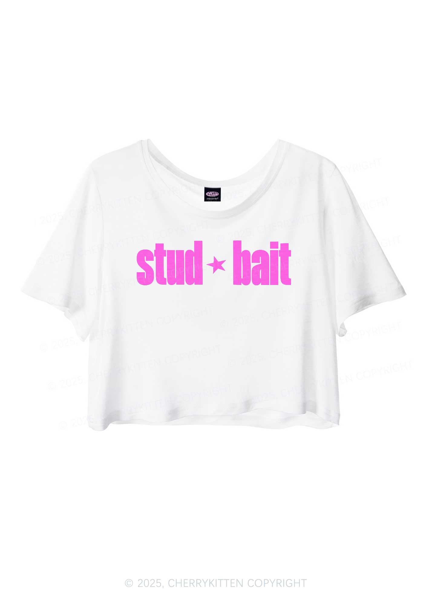 Stud Bait Pride Y2K Sheer Crop Tee Cherrykitten