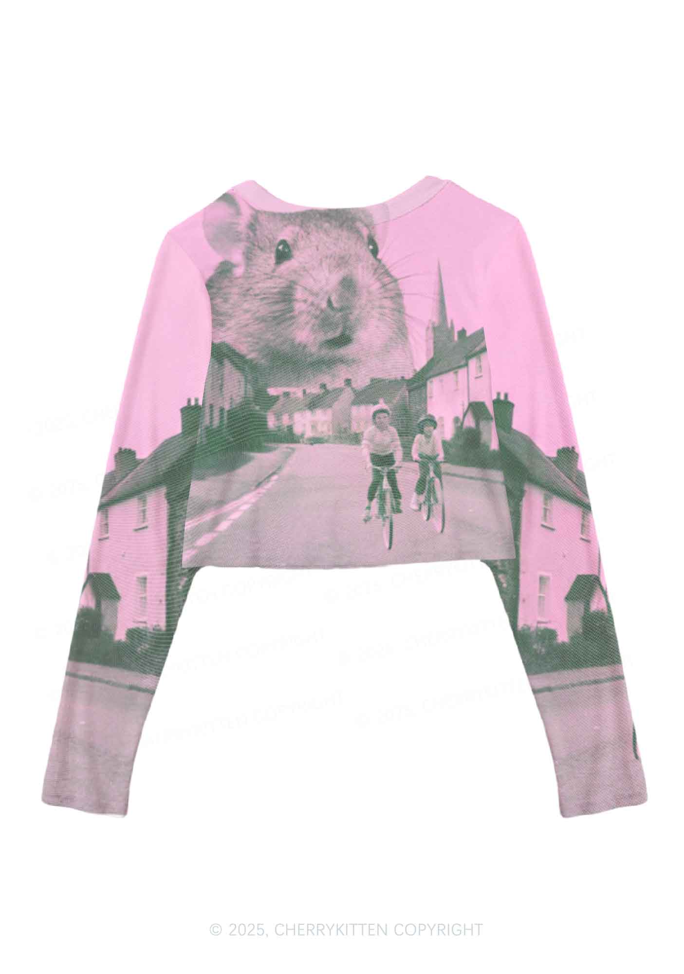 Rat Street Y2K Mesh Long Sleeve Crop Top Cherrykitten
