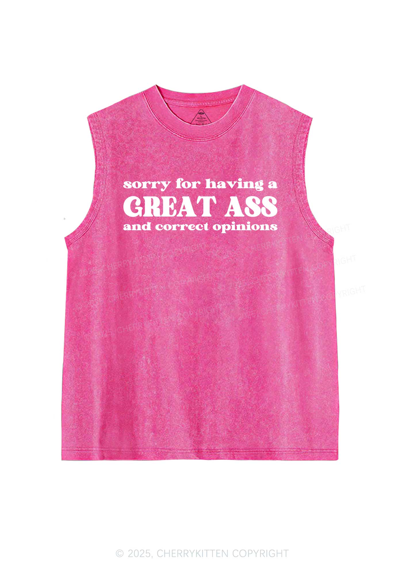 Sorry For Having Great Axx Y2K Washed Muscle Tank Cherrykitten