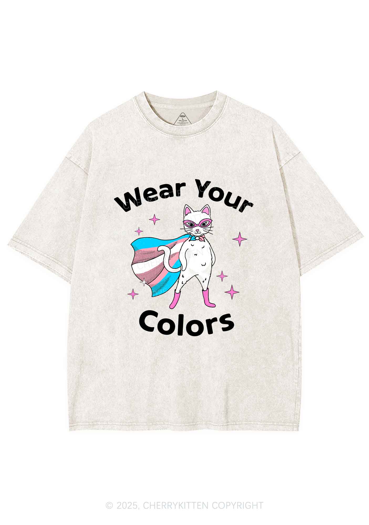Transgender Flag Cat Pride Y2K Shirts Washed Tee Cherrykitten