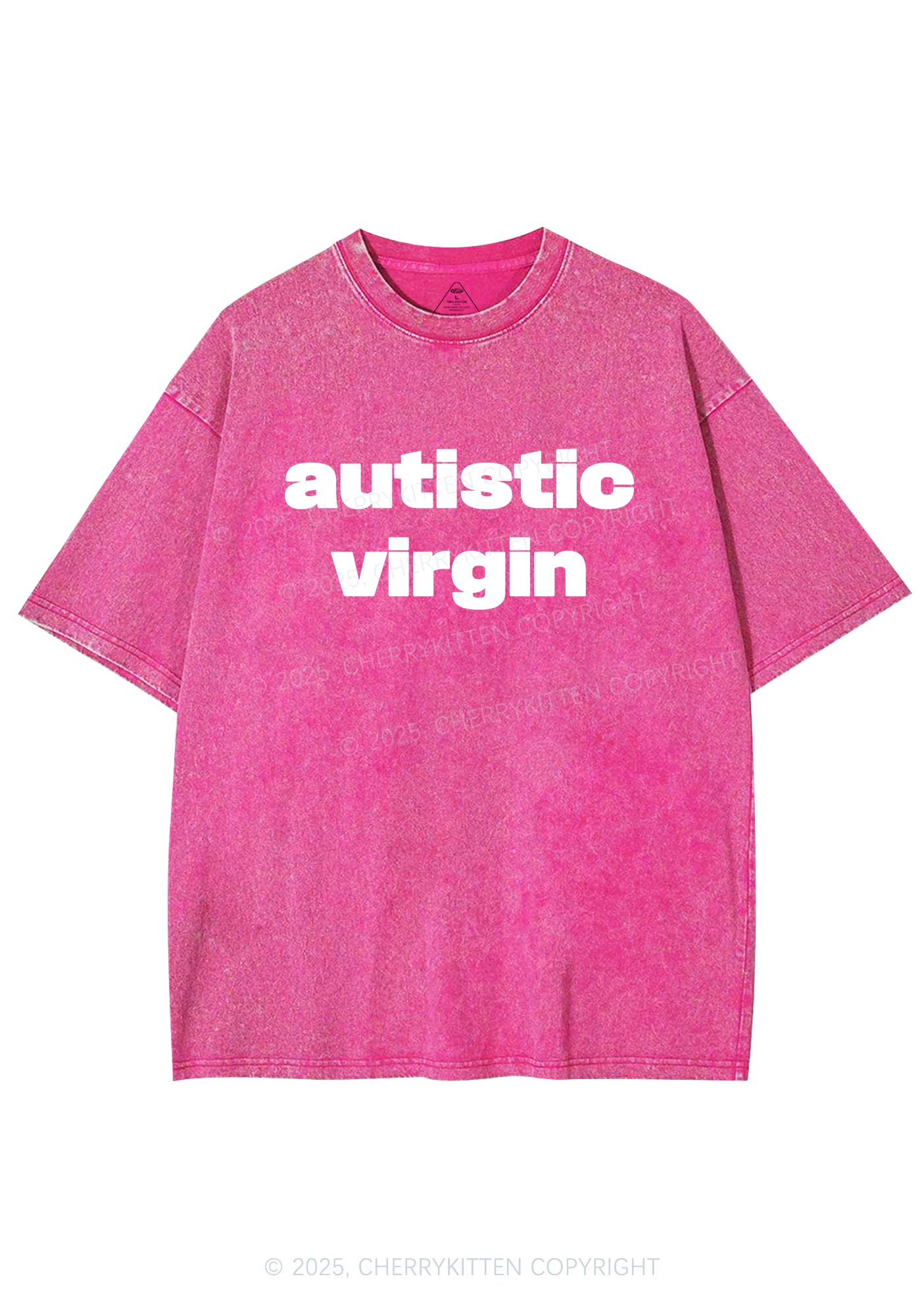Autistic Virgin Y2K Shirts Washed Tee Cherrykitten