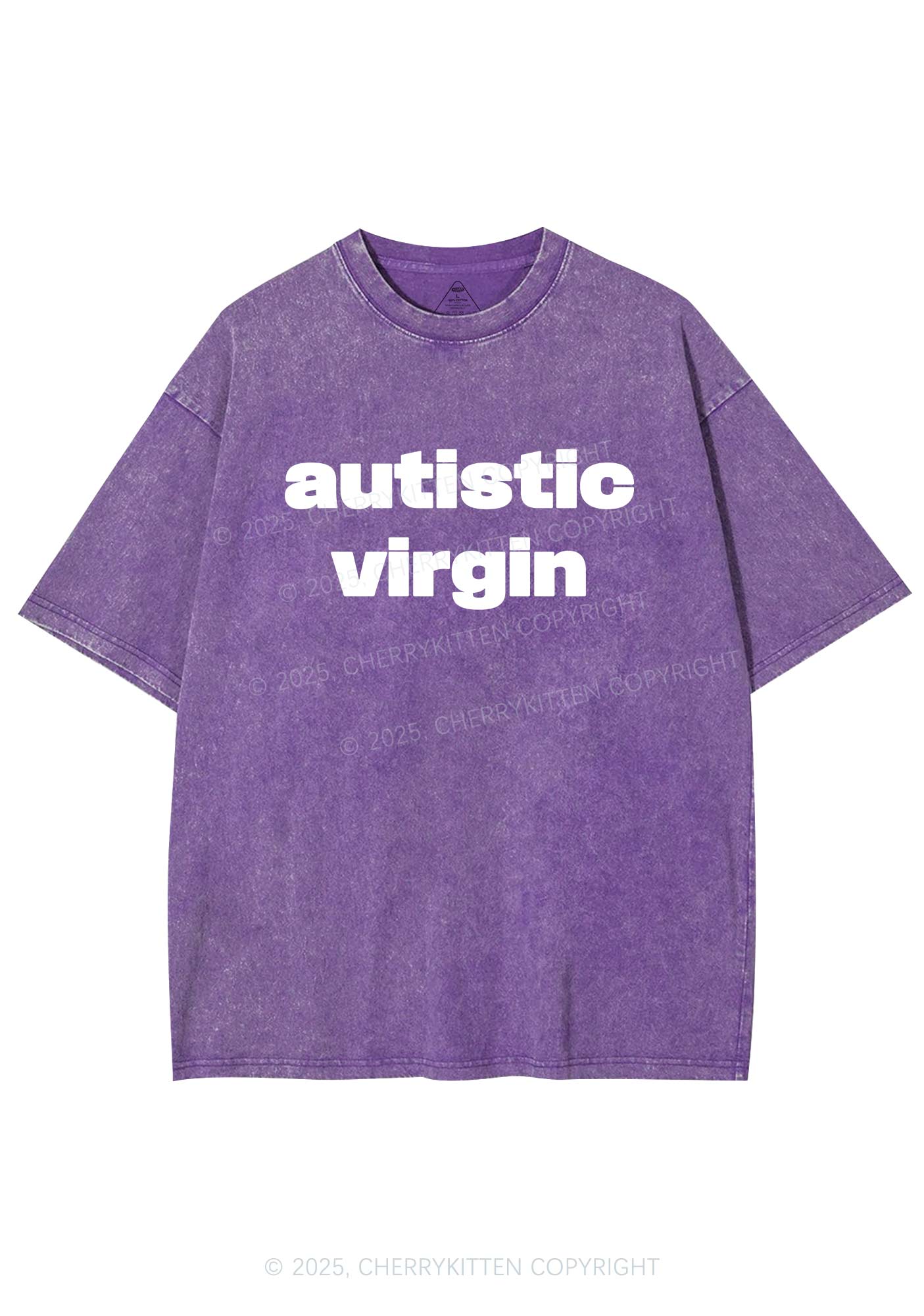 Autistic Virgin Y2K Shirts Washed Tee Cherrykitten